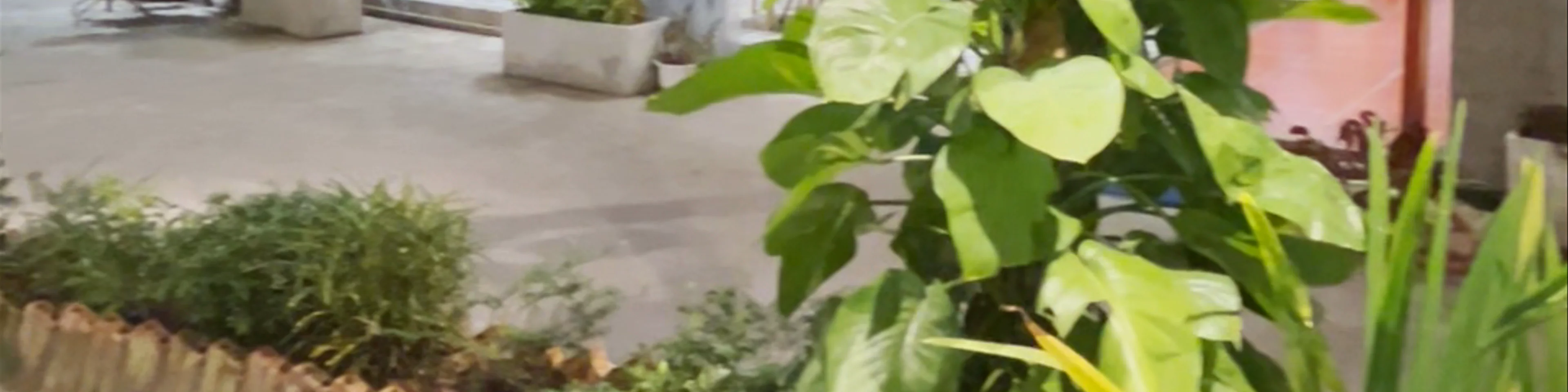 BIA CÓC GARDEN