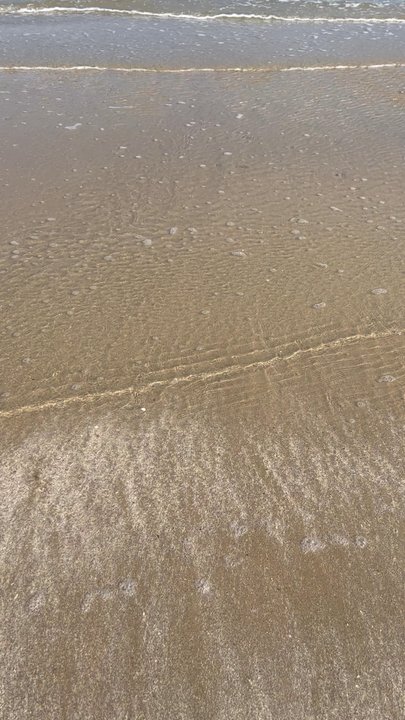 Crystal Beach - Putting my feet in my place I now call home for the first time!! Water is sooo clear! - Beaches Near Me - Bolivar Peninsula, Texas