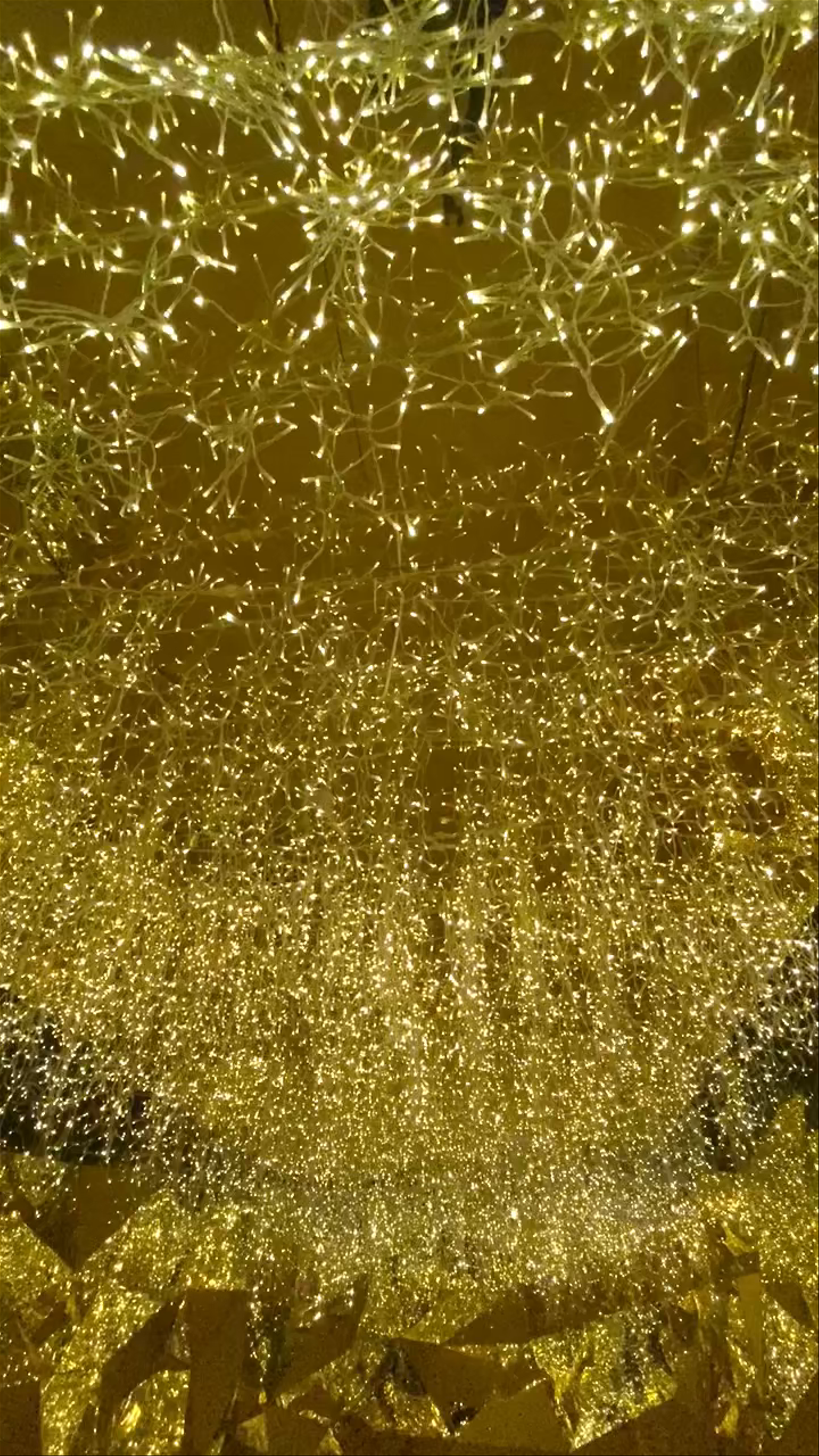 Museum of Dream Space Beverly Hills: Immersive Golden Light Experience