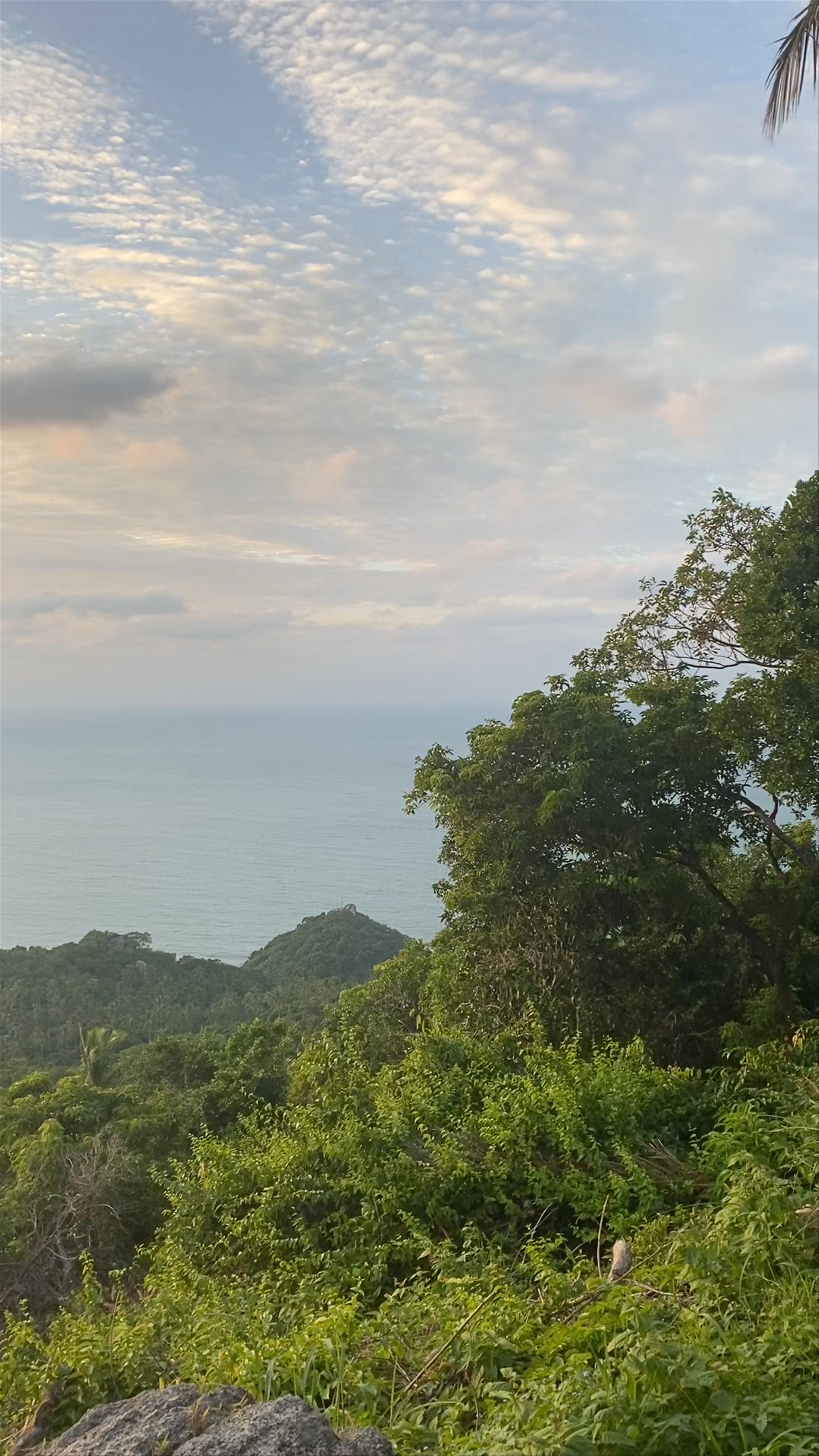 Secret Bar เกาะเต่า Ko Tao