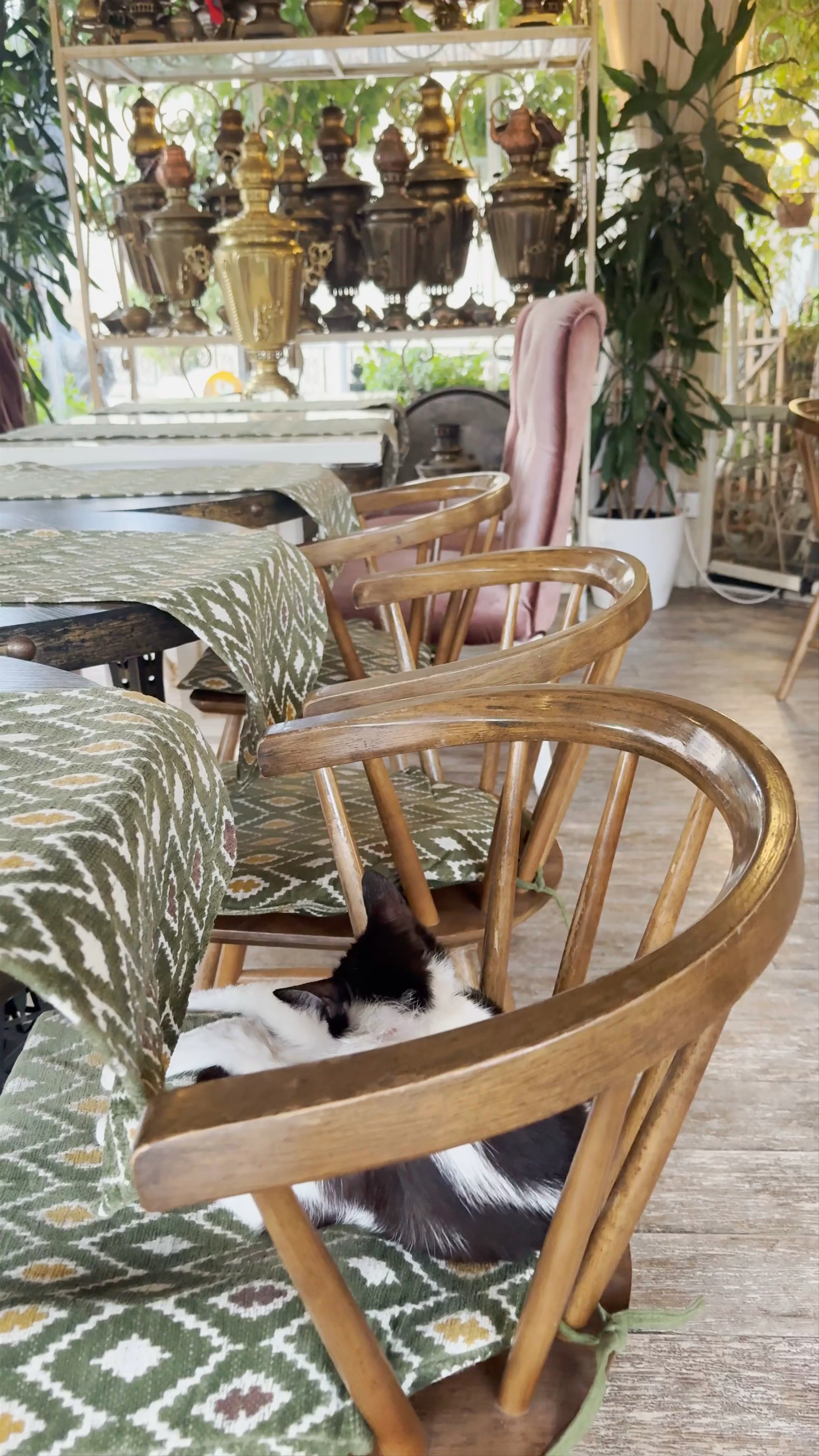 Muse Cafe, Kichik Qala