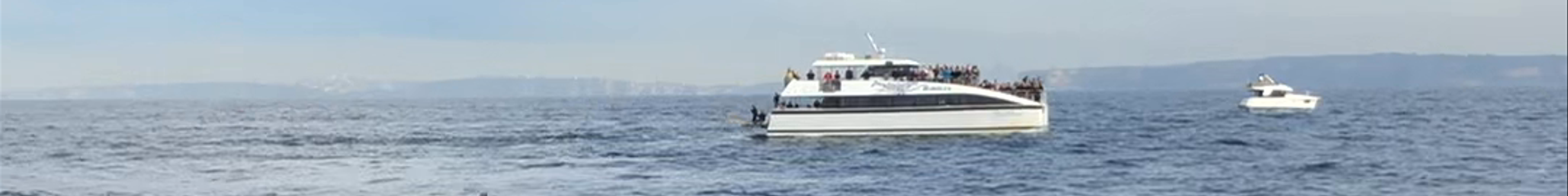Tours & experiences in Sydney