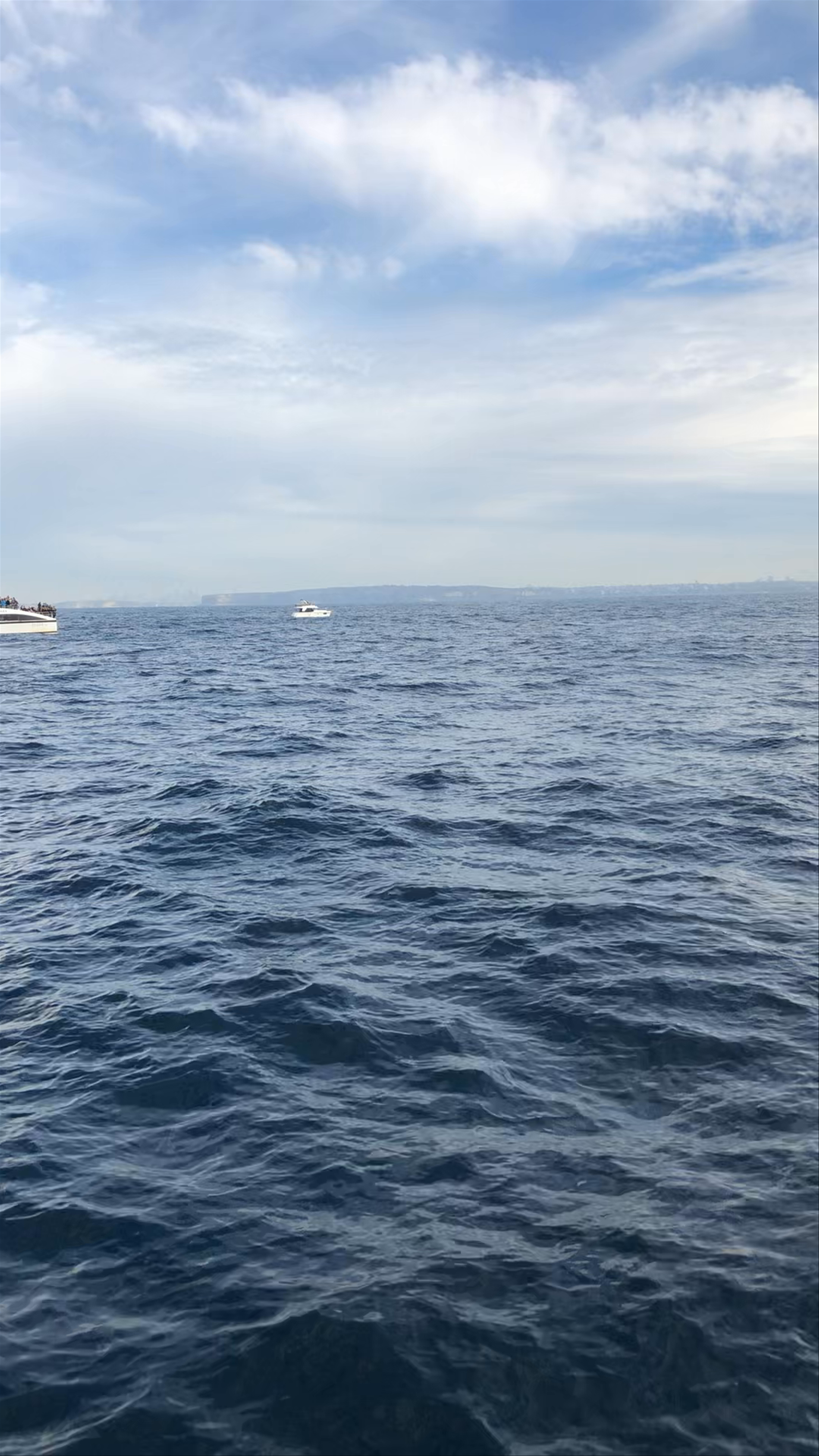 Epic Whale Watching Adventure Off Sydney Coast