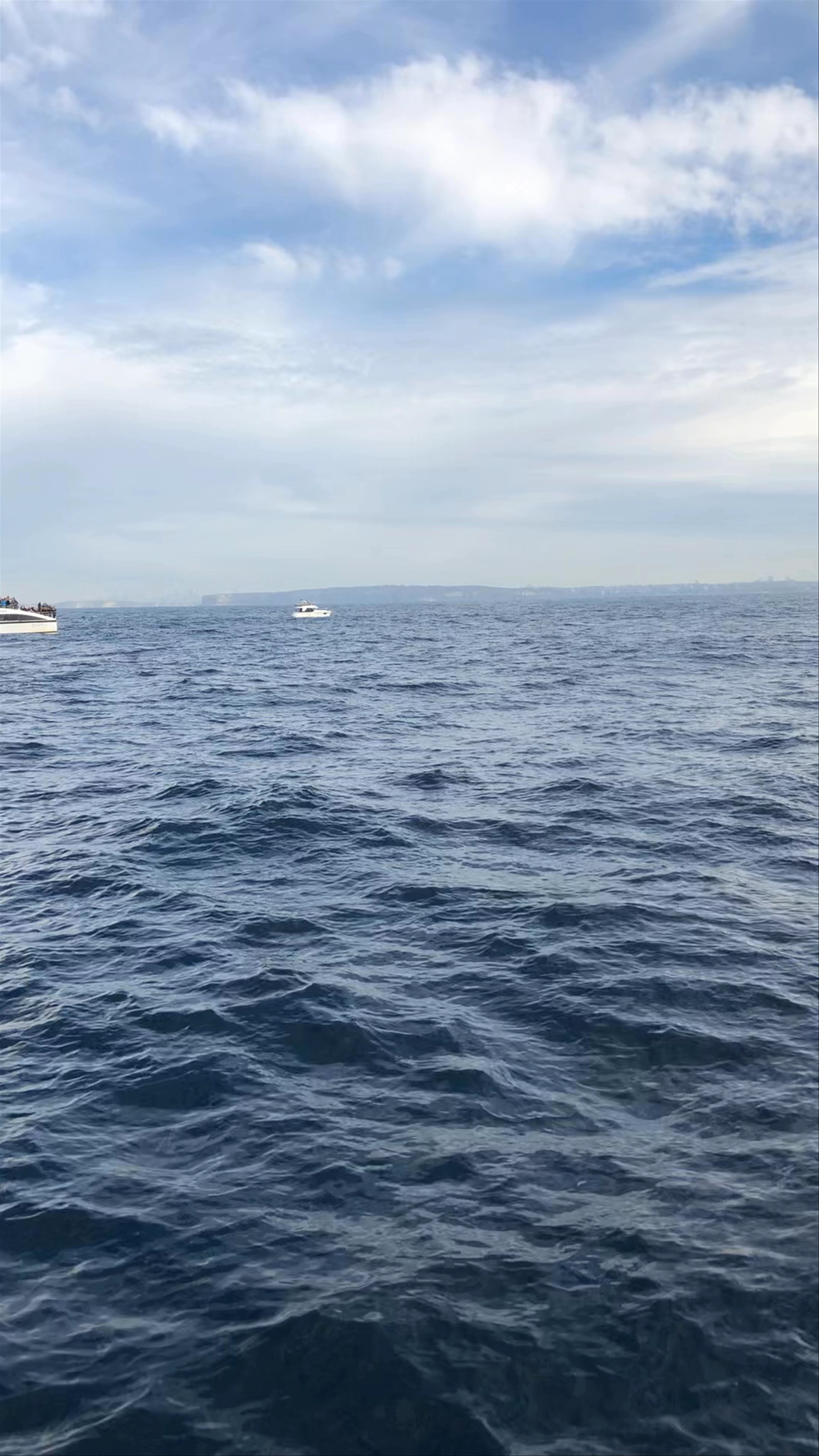 Whale Watching Sydney, Sydney NSW, Australia