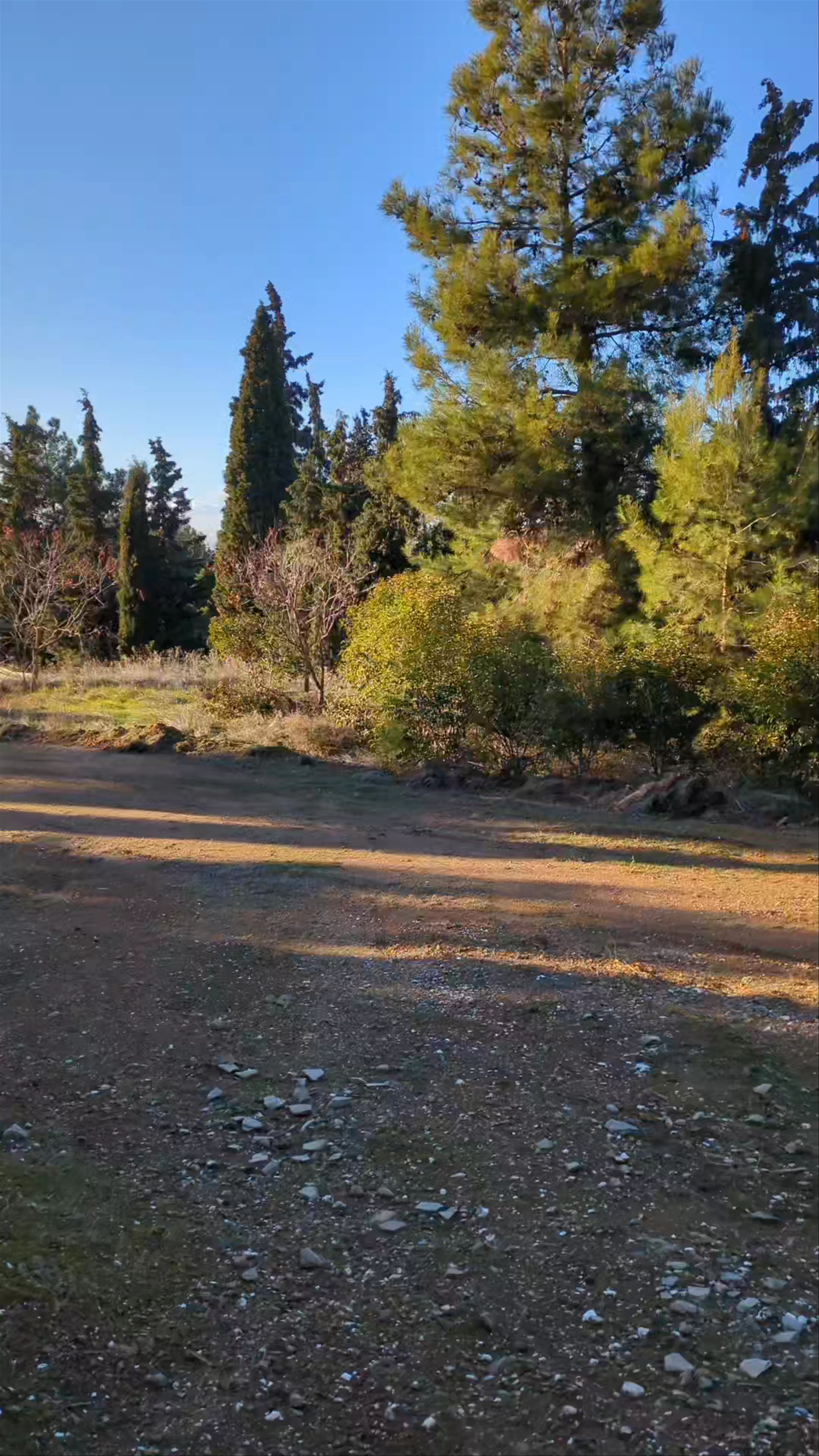 Kryoneri Park