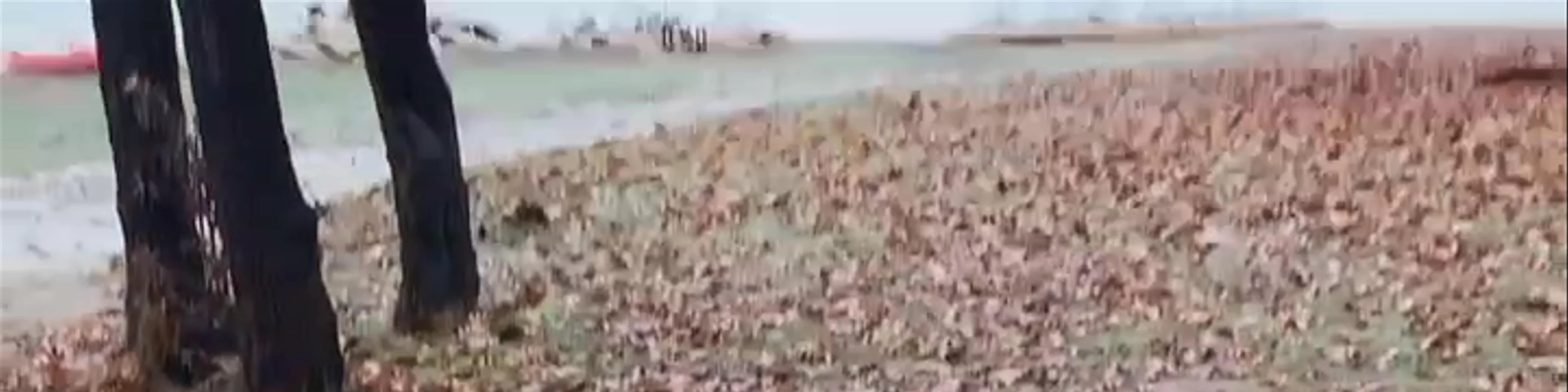 Lake Plastiras