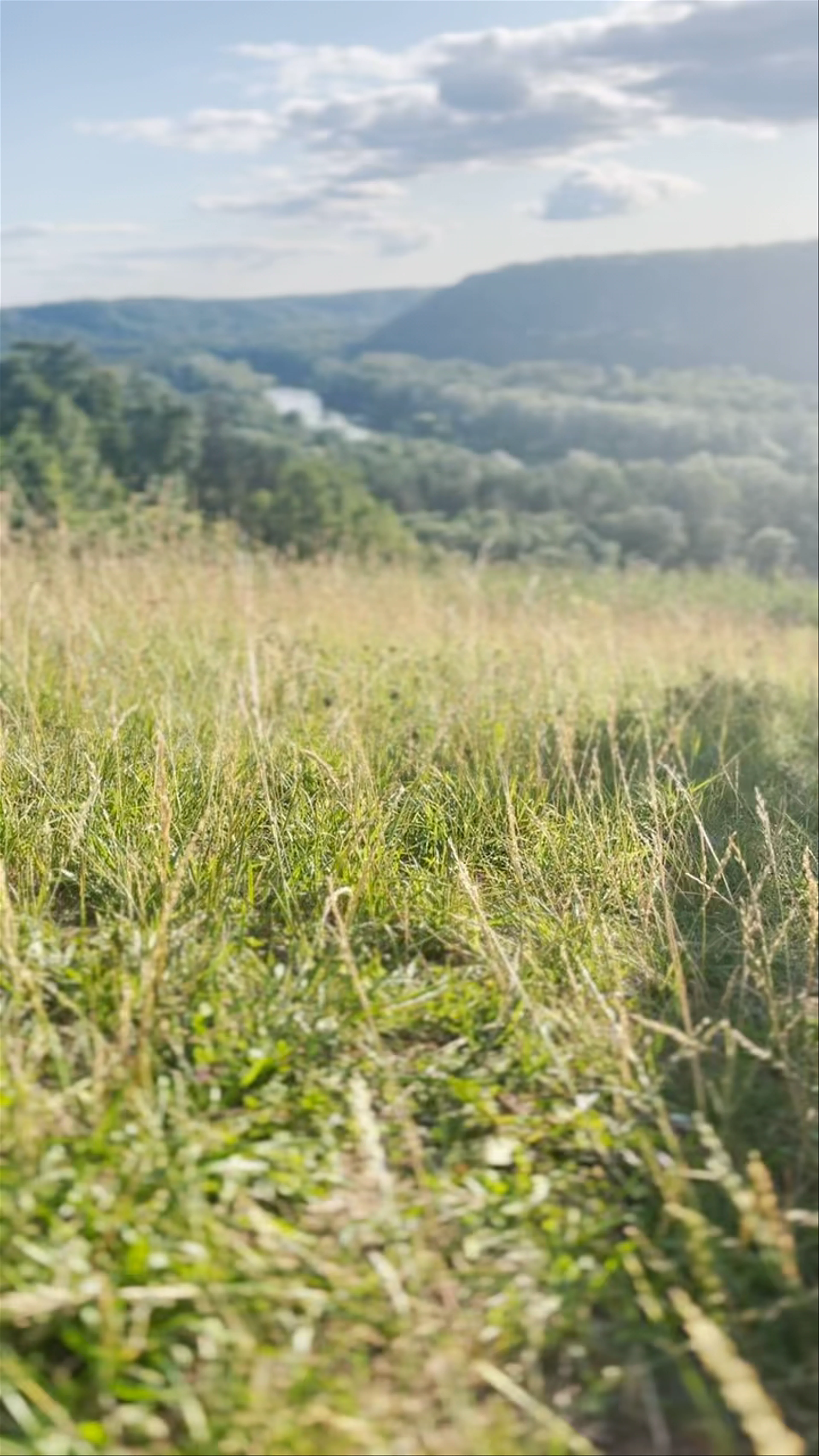 Svētku laukums, Cēsu iela, Sigulda