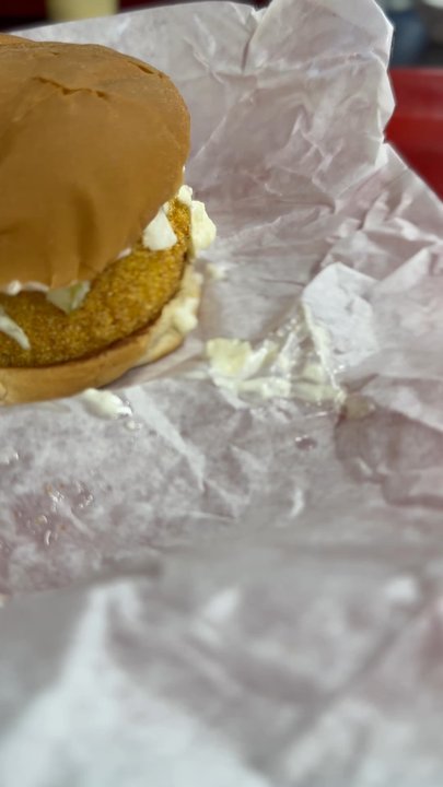 Ray's - My beloved fish sandwich - American Near Me - Monticello, Arkansas