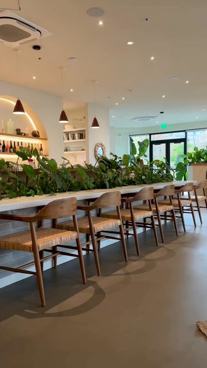 The Cove - Wine Bars Near Me - Seattle, Washington