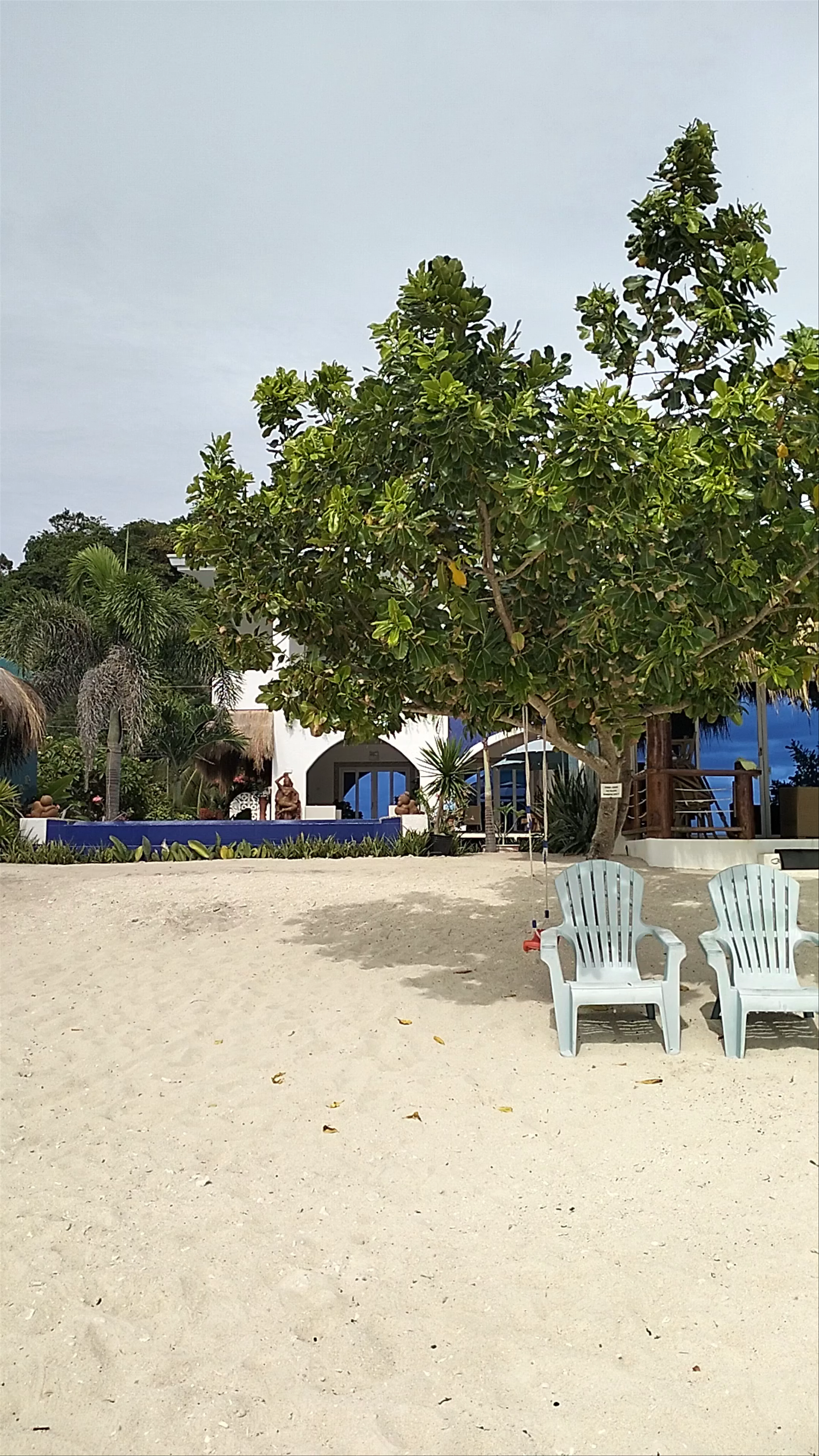 Maite Marine Sanctuary, San Juan, Siquijor