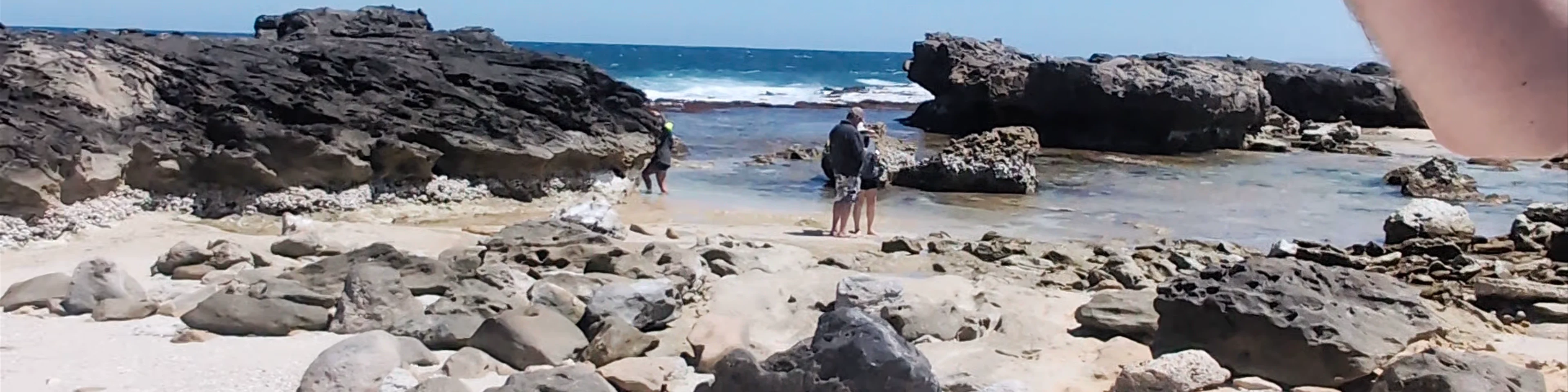 Surf Point