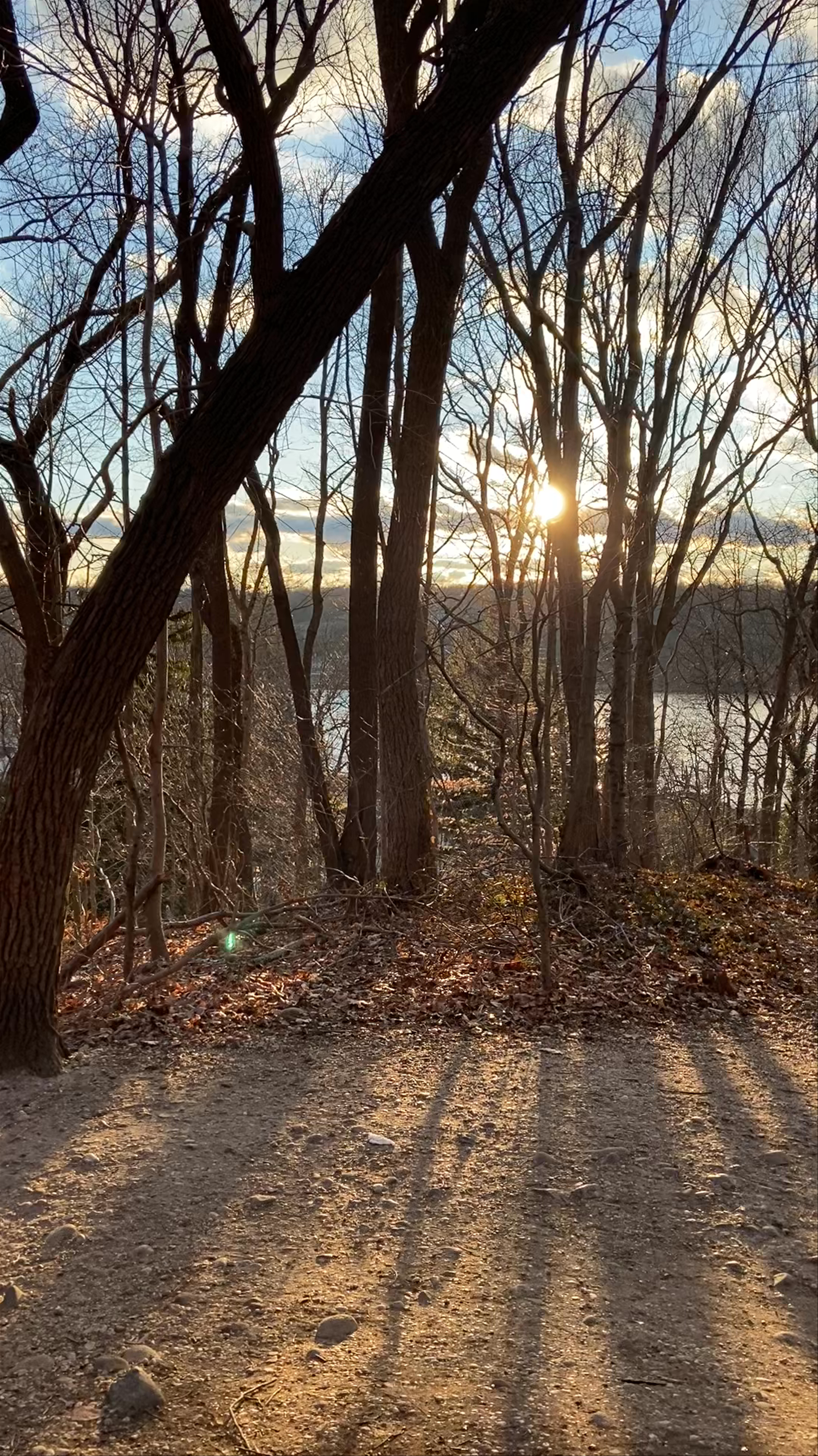 Cold Spring Harbor State Park