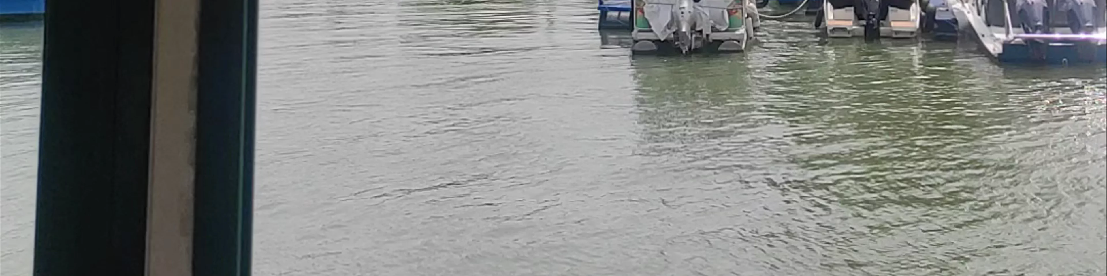 River Sava