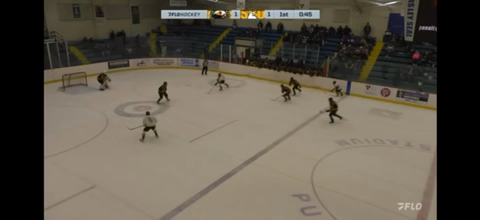 Gabriel Clark Stands Tall: Defending His Goalie in Game 4 Showdown