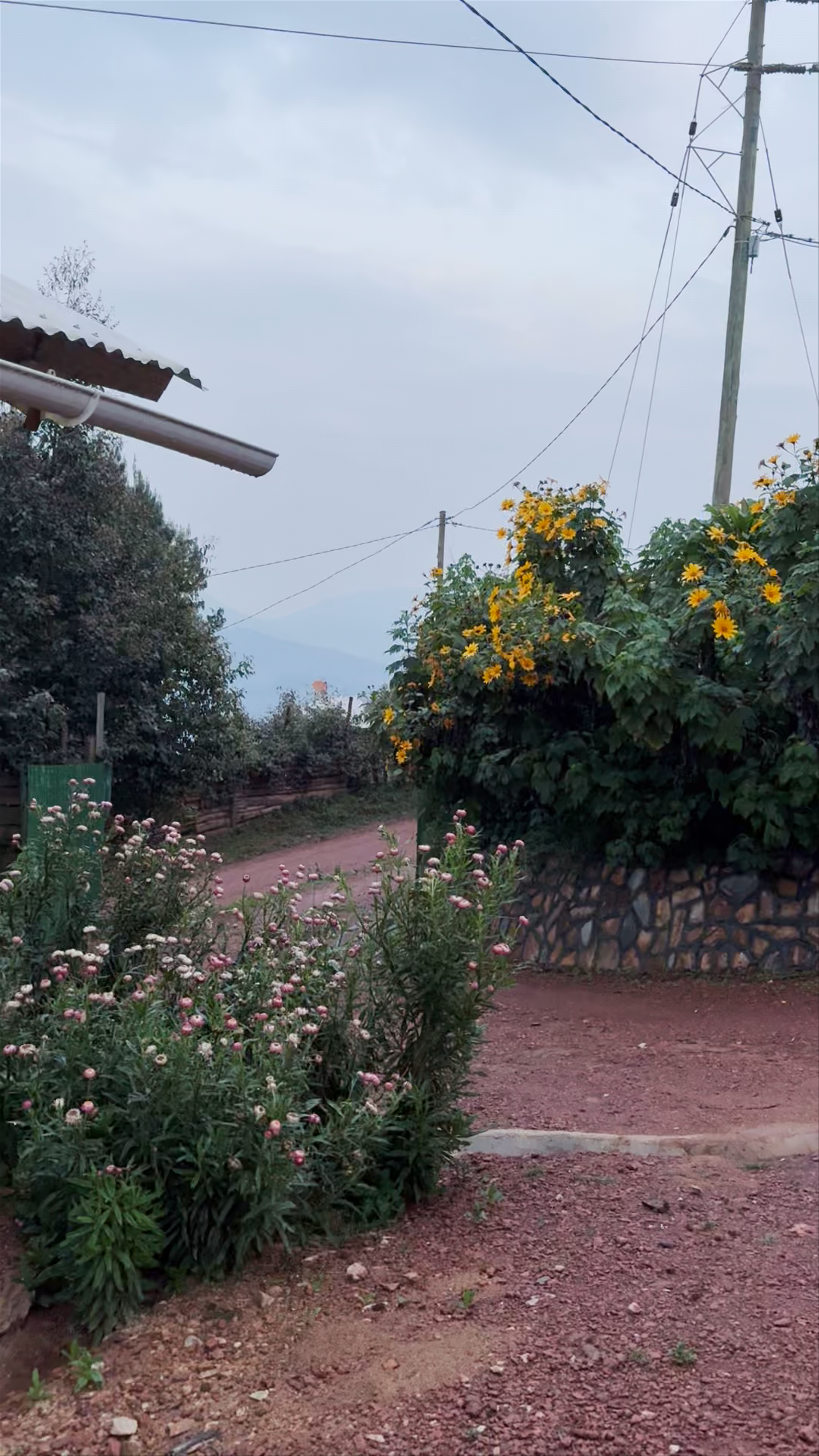 Ruhija Gorilla Guest House