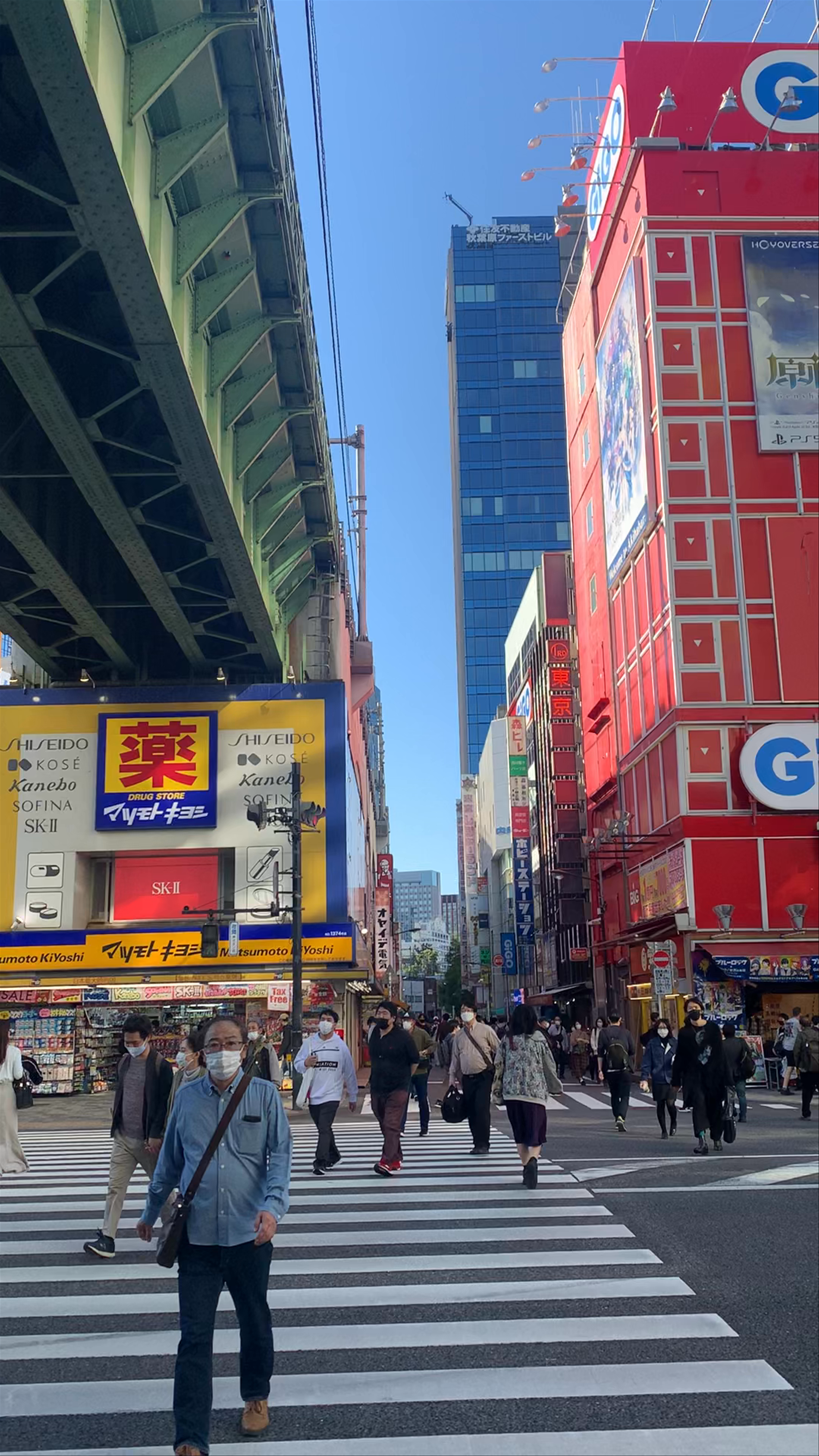 Vibrant Street Life and Neon Energy at GiGO Akihabara, Tokyo