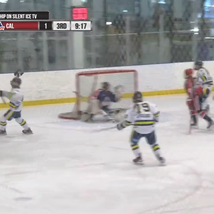 Lauren McDiarmid's Spectacular Highlights | Edmonton Jr. Ooks 14U