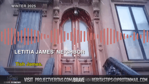 Video Thumbnail Loop