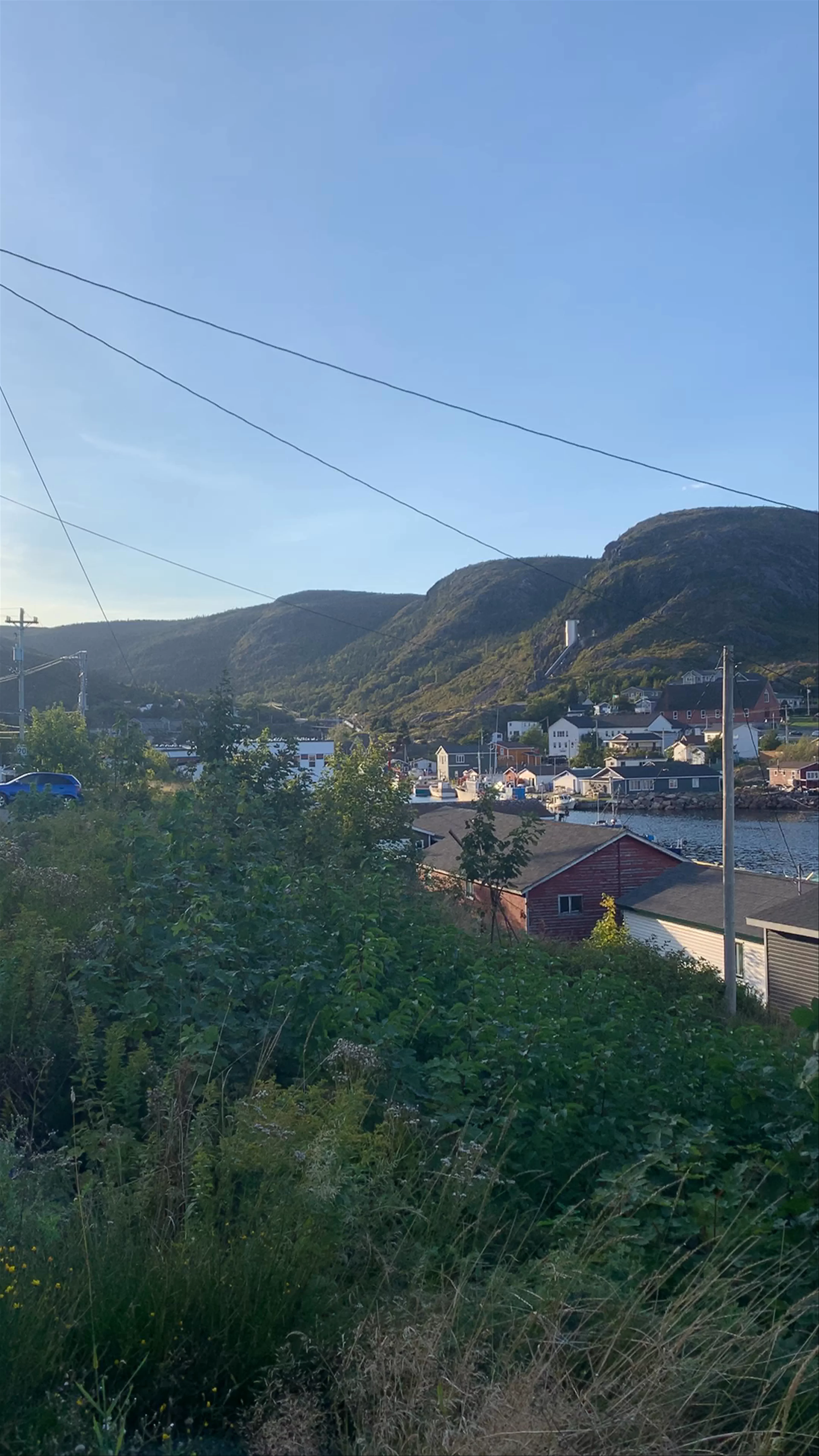 Petty Harbour