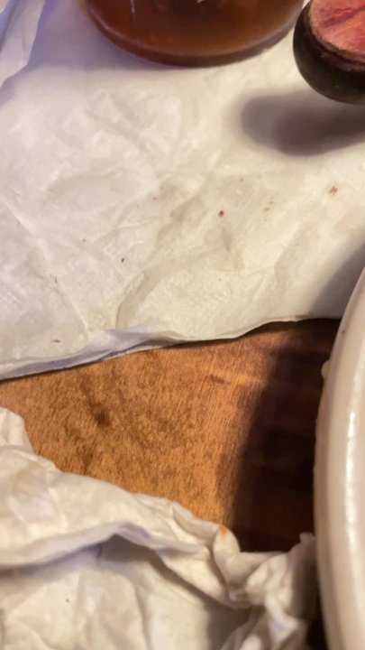 Texas Roadhouse - small bug on napkin where drink was placed - Steakhouses Near Me - Turlock, California