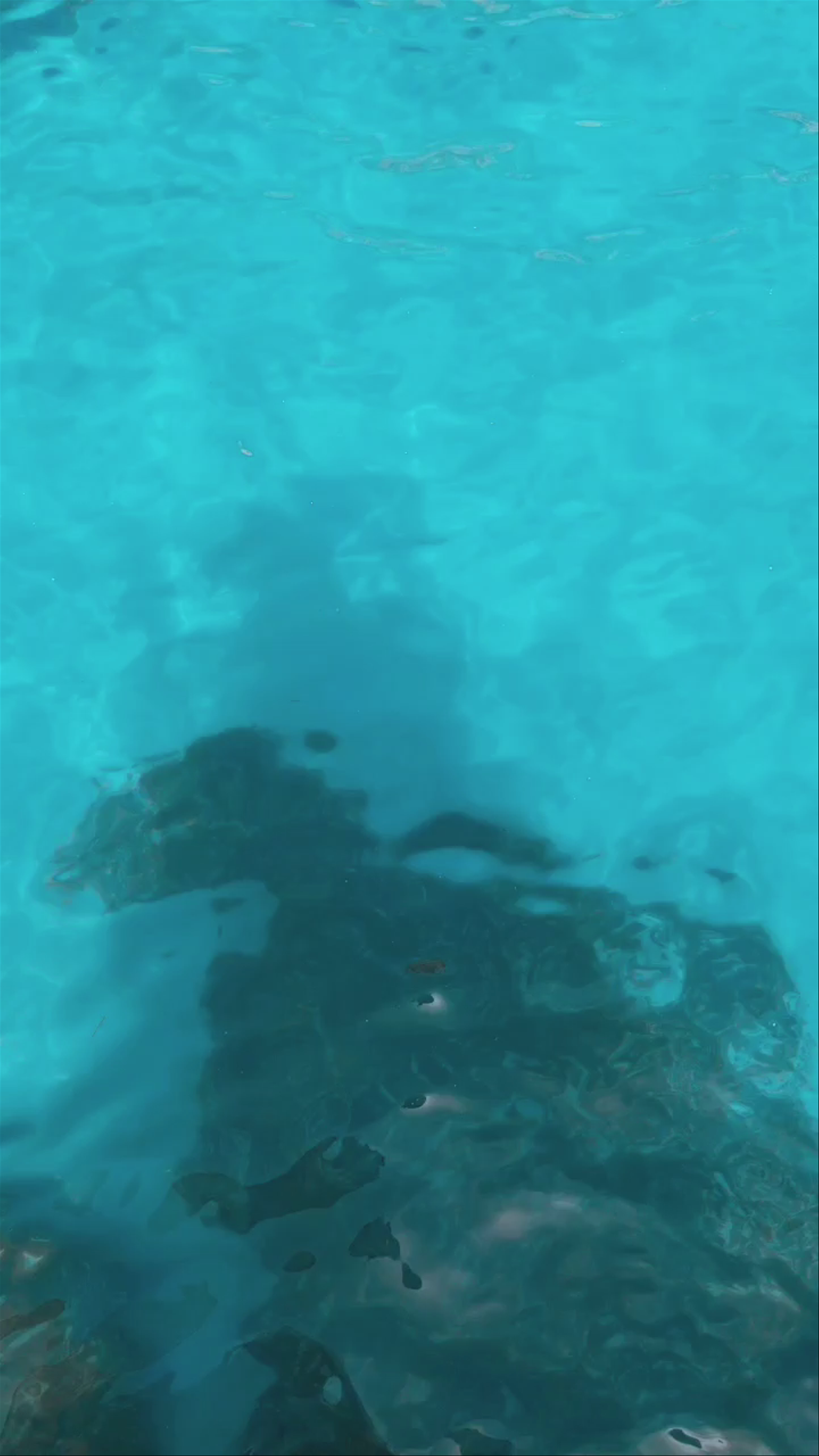 Blue Lagoon