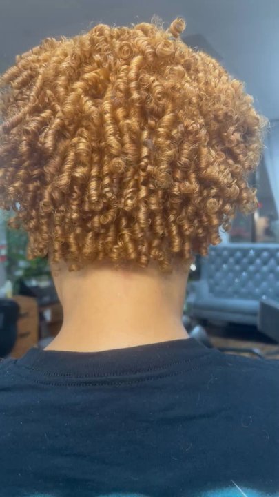 Gillian Johnson Salon - Natural hair styles - Hair Salons Near Me - McDonough, Georgia
