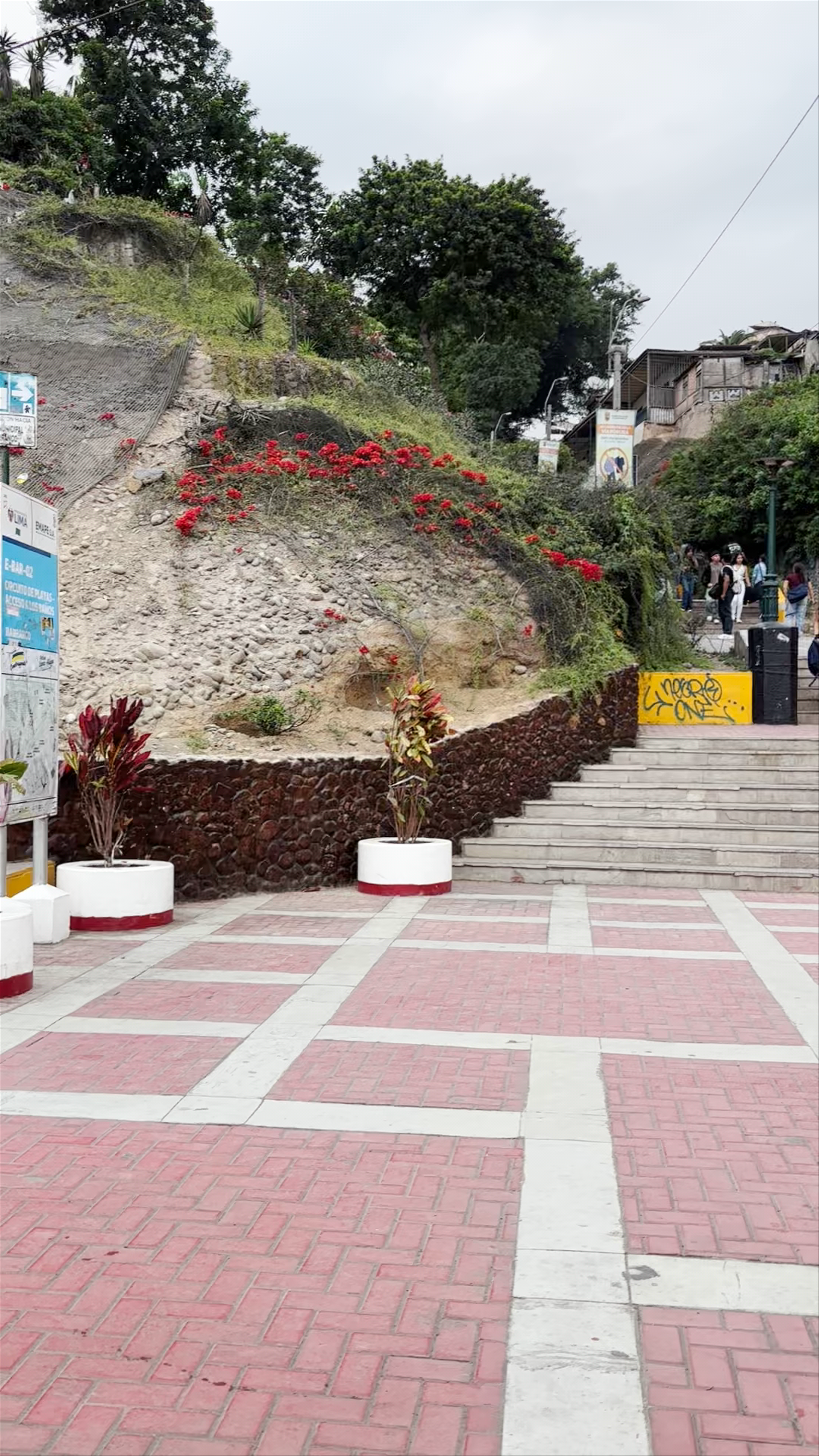 Mirador