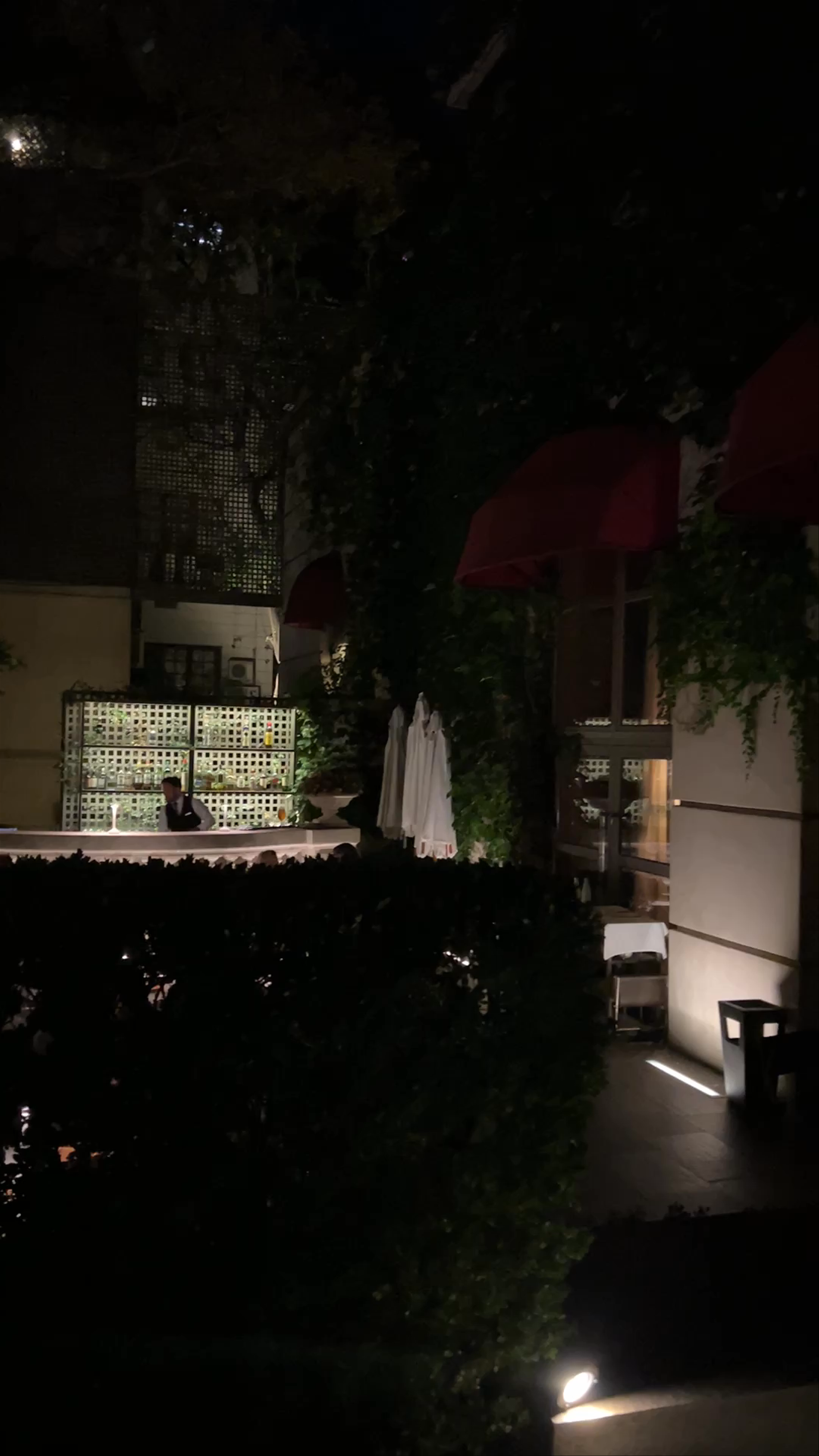 Gioia Cocina Botánica