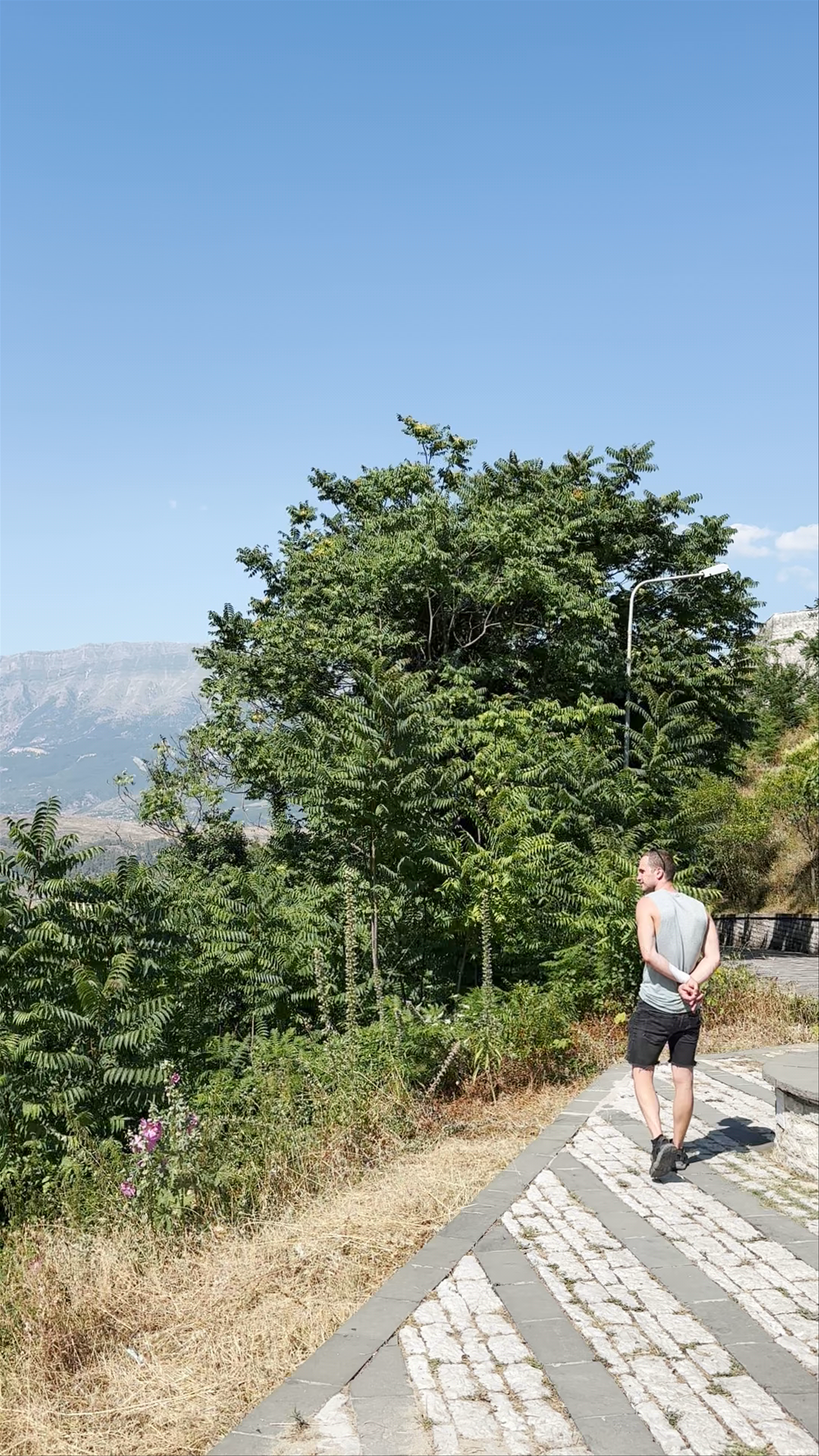 View point