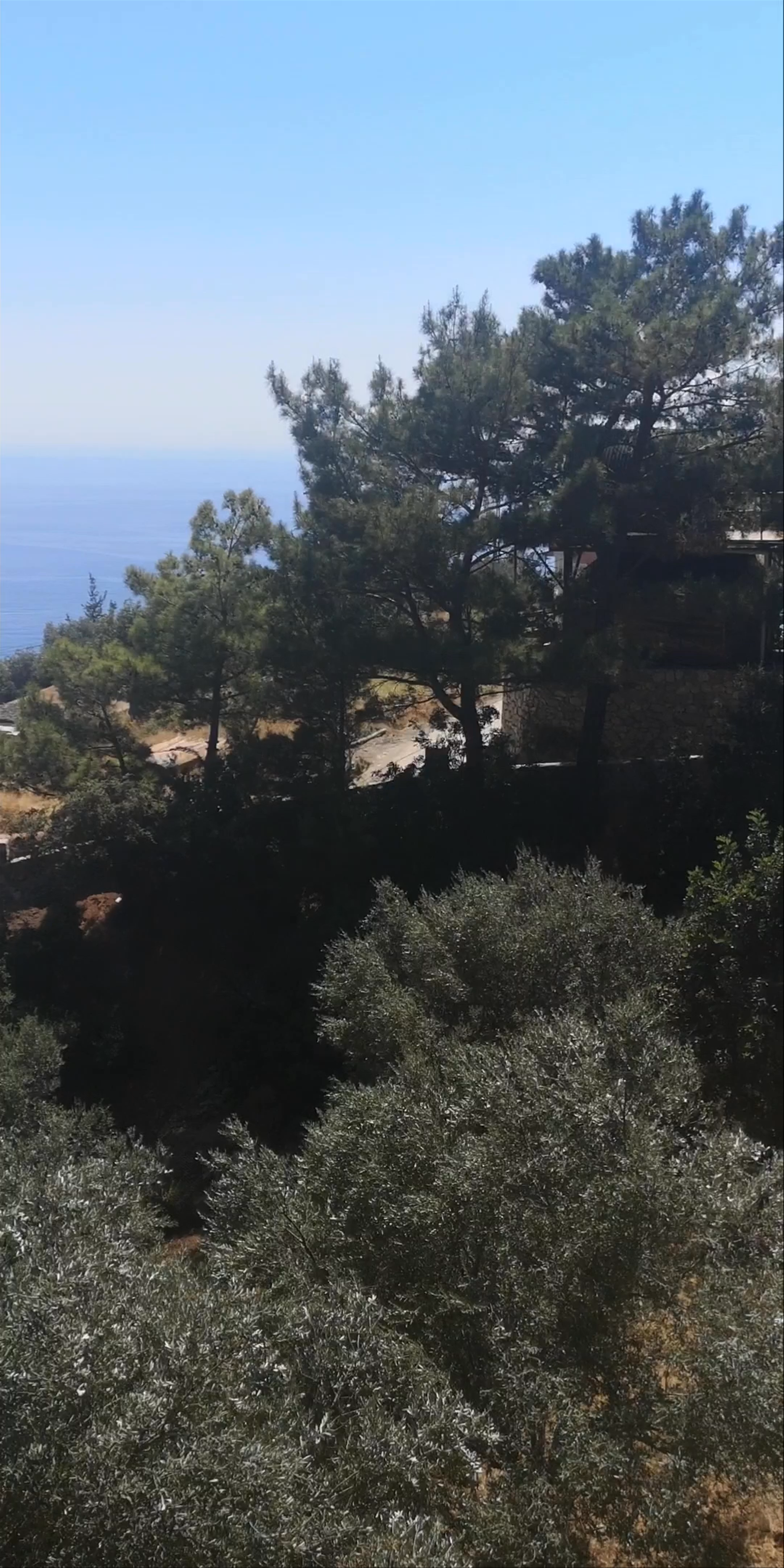 Butterfly Valley: A Scenic Coastal Escape near Fethiye, Turkey