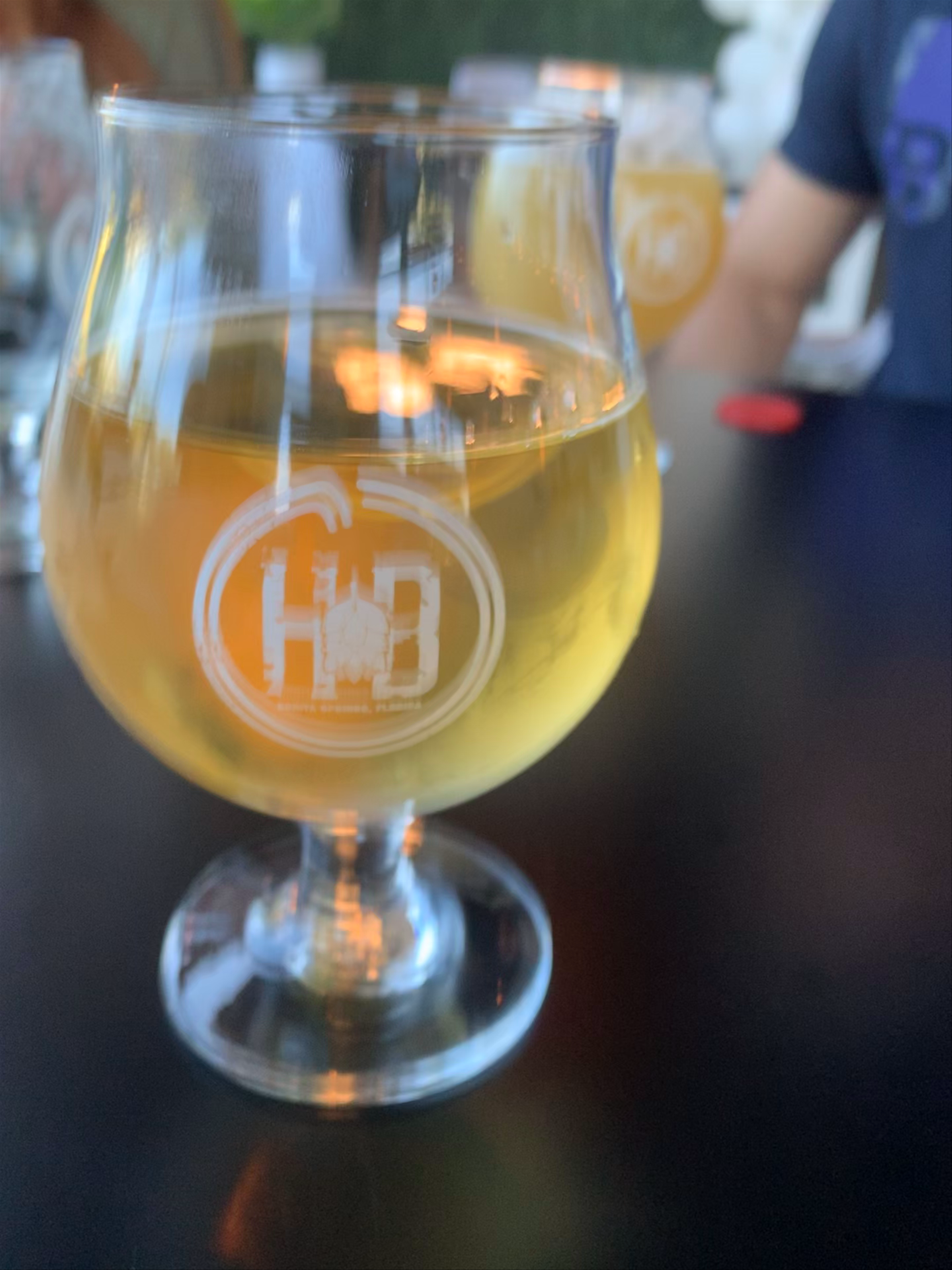 Craft Beer Tasting at Hopsized Brewing Company in Bonita Springs, Florida