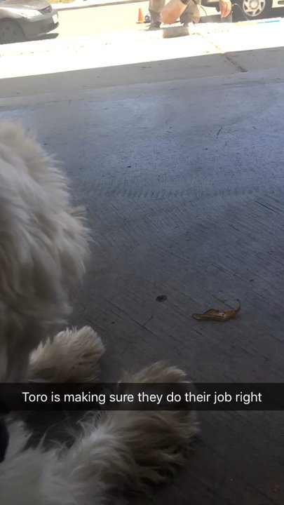 R2 Carpet Cleaning - He's supervising Chuck and Team - Carpet Cleaning Near Me - Tracy, California