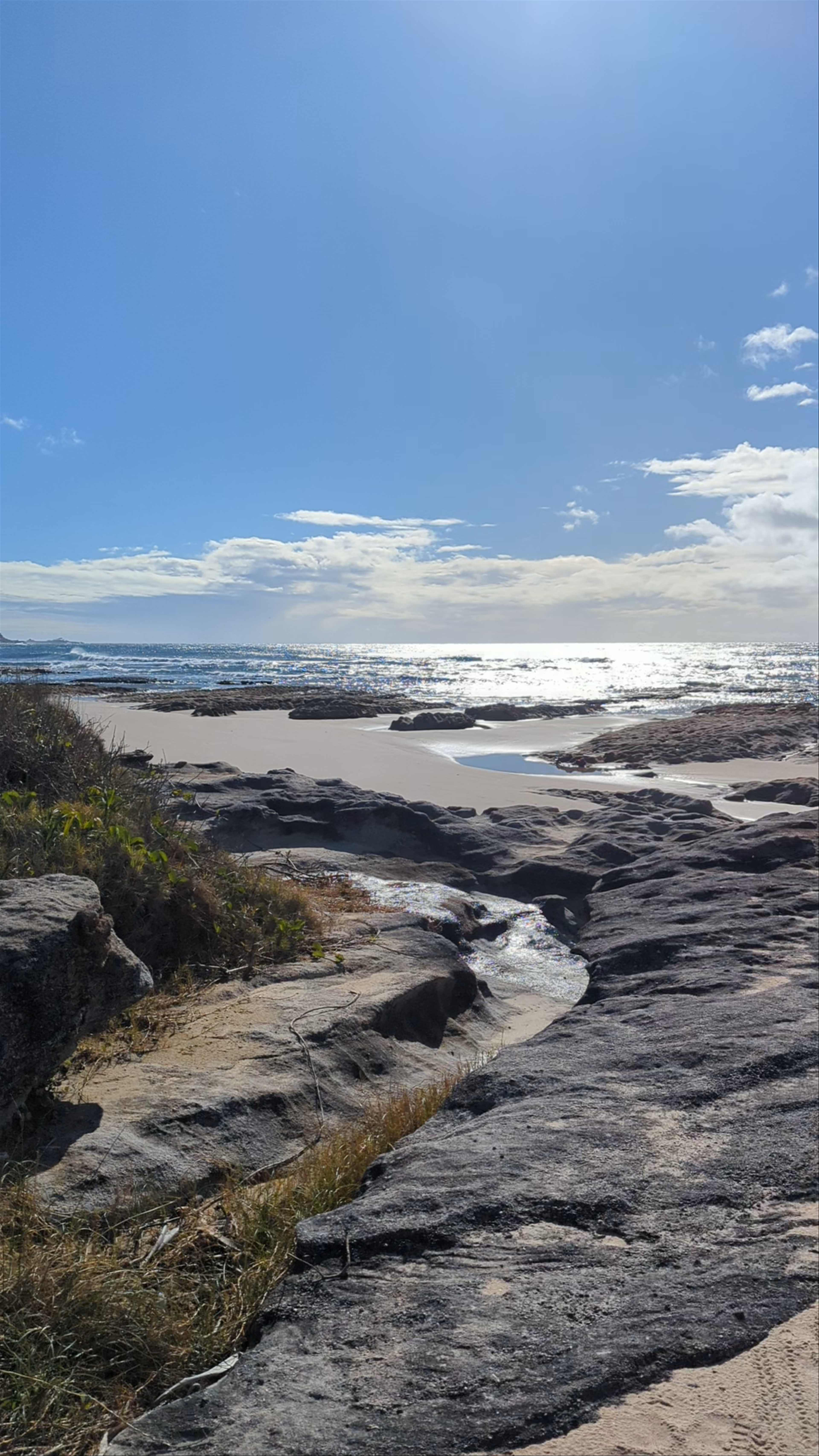 Shelly Beach