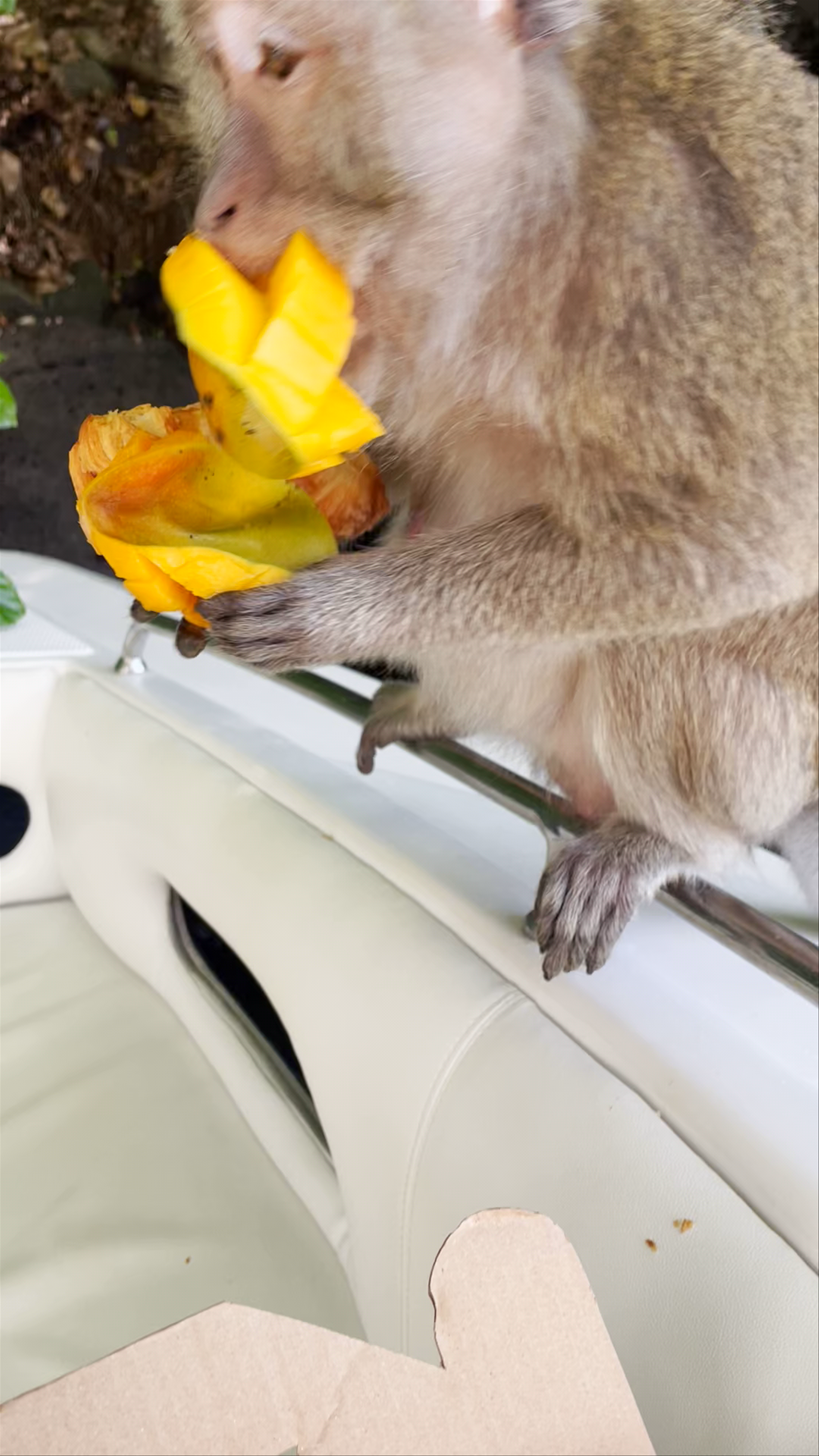 Grande Rivière Sud-Est