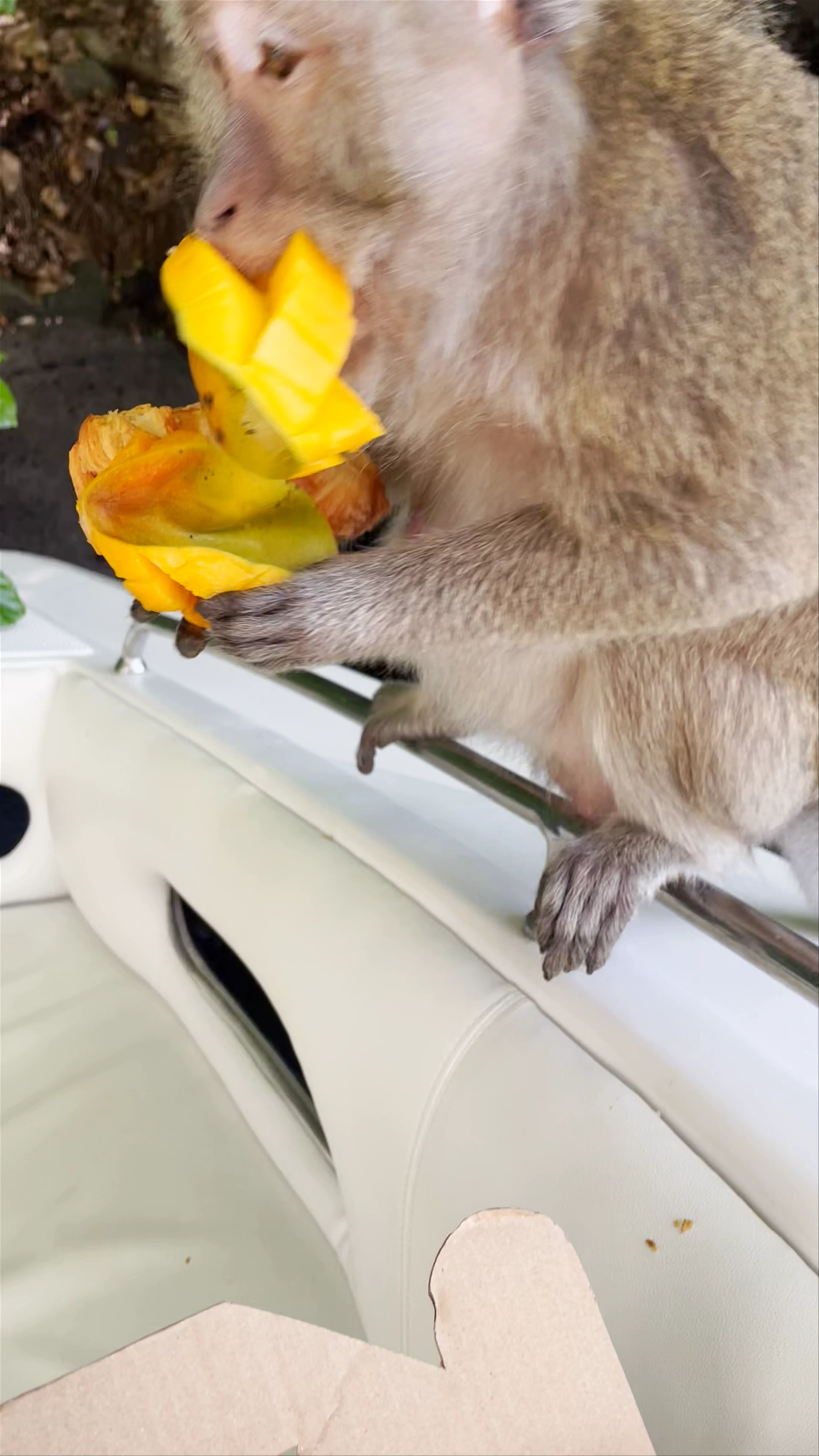 Grande Rivière Sud Est