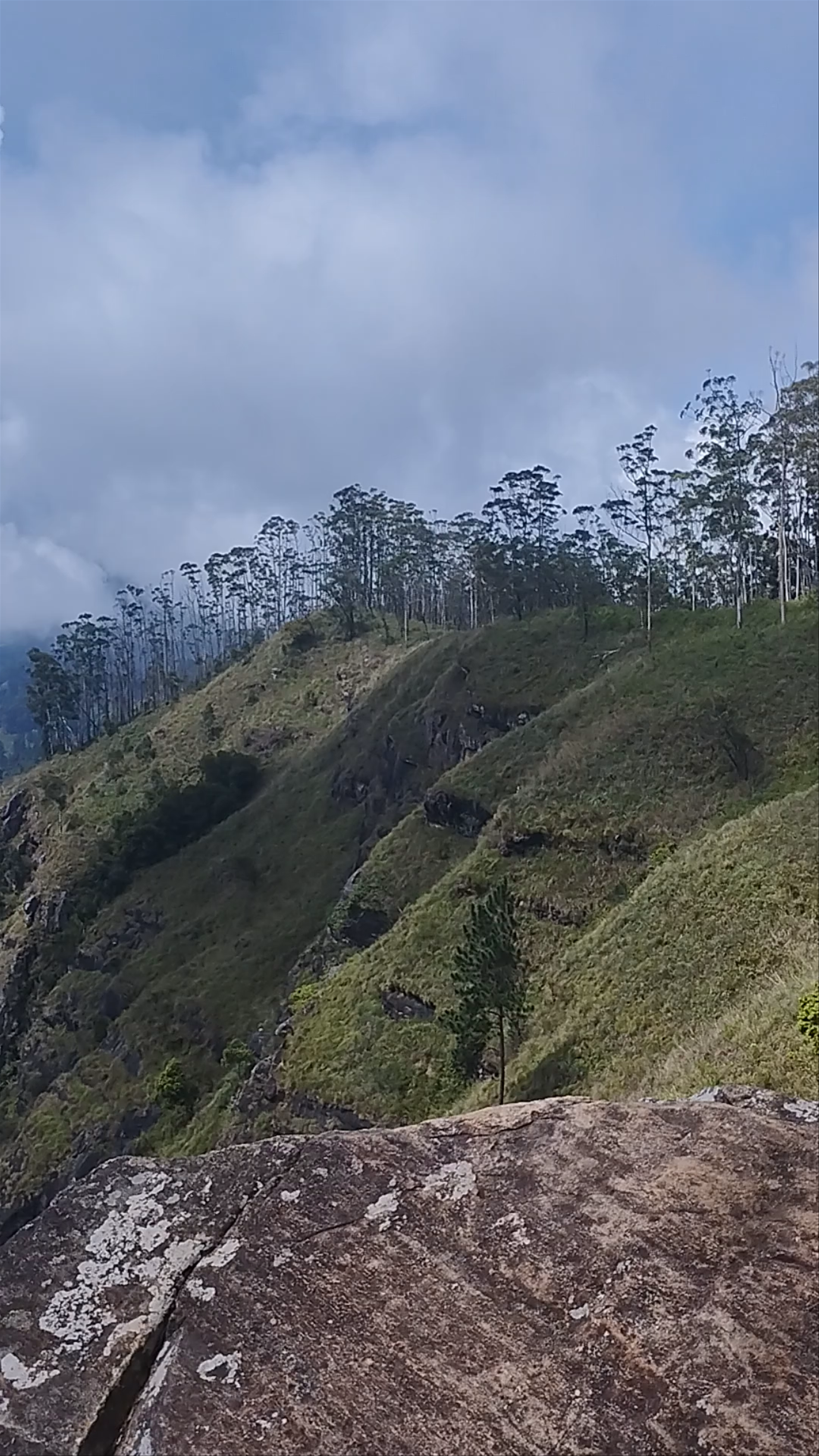 Ella Rock View Point: Majestic Mountain Vistas in Sri Lanka