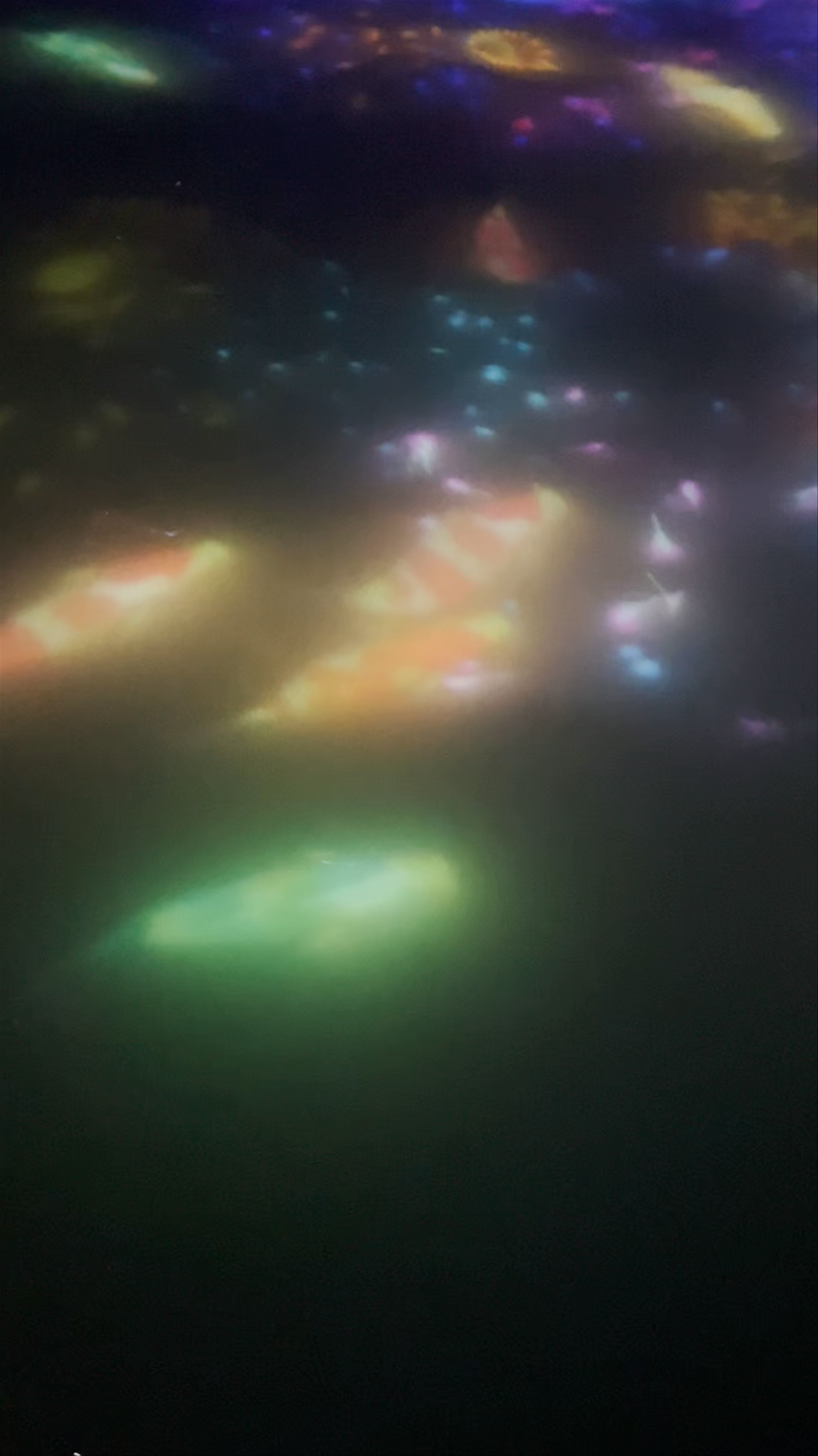 teamLab Planets Tokyo: Immersive Digital Art Aquarium Experience
