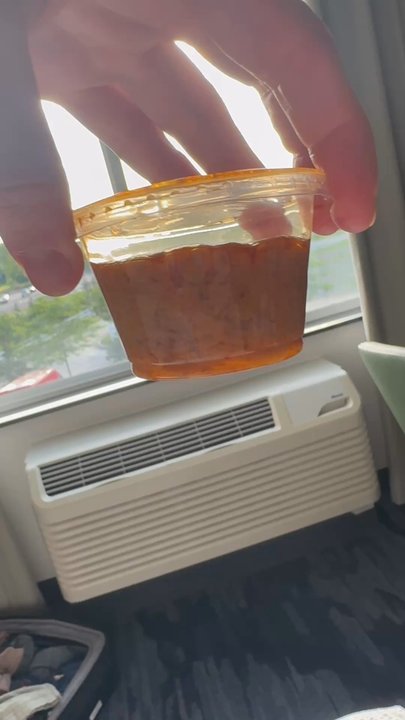 Wish Thai Kitchen - The peanut "sauce" holds its shape. You can't even pour it out. - Thai Near Me - Watertown, New York