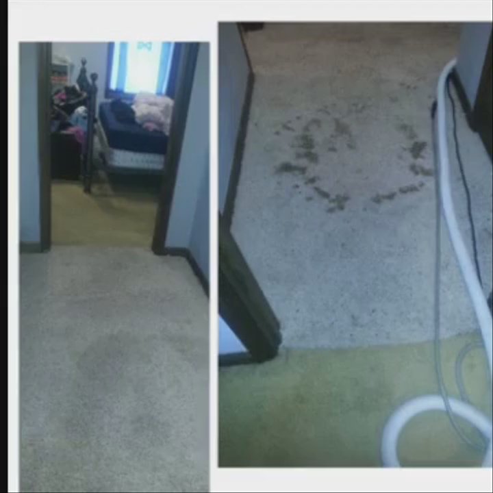Klean as a Whistle - Klean As A Whistle Carpet Cleaning. - Carpet Cleaning Near Me - McDonough, Georgia