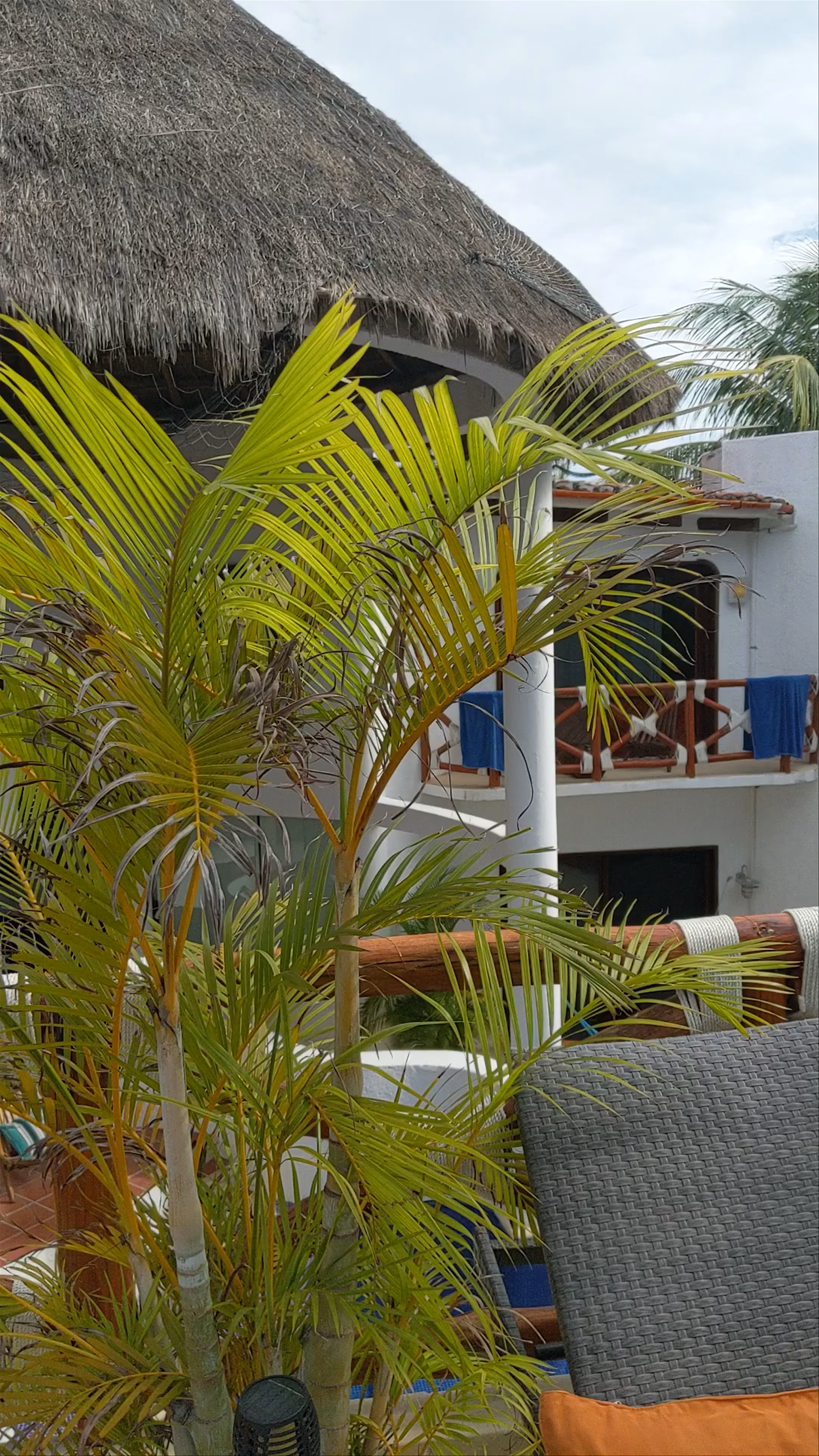 Hotel Para Ti Holbox: A Tropical Paradise Escape
