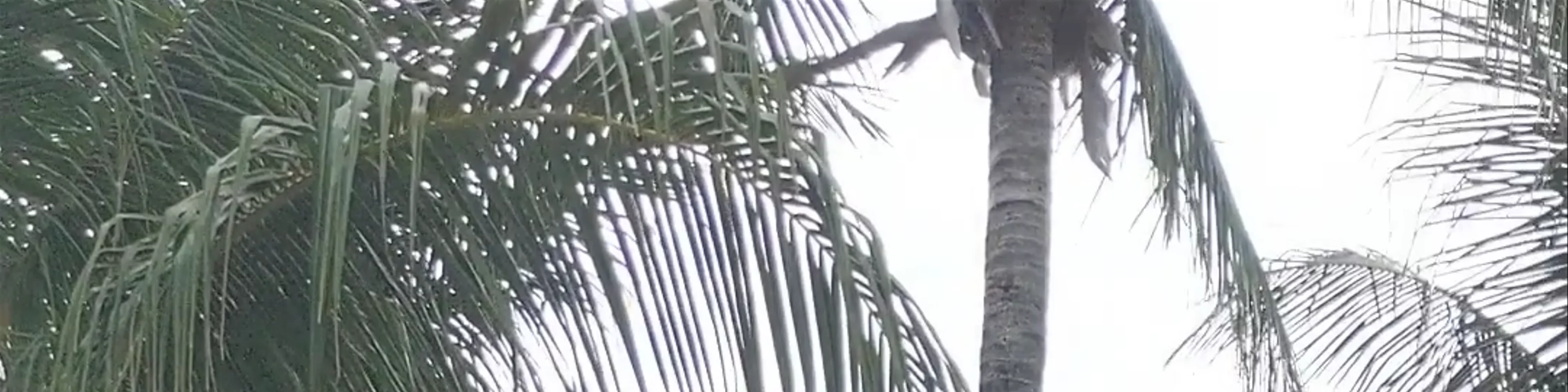 Hotel Para Ti
