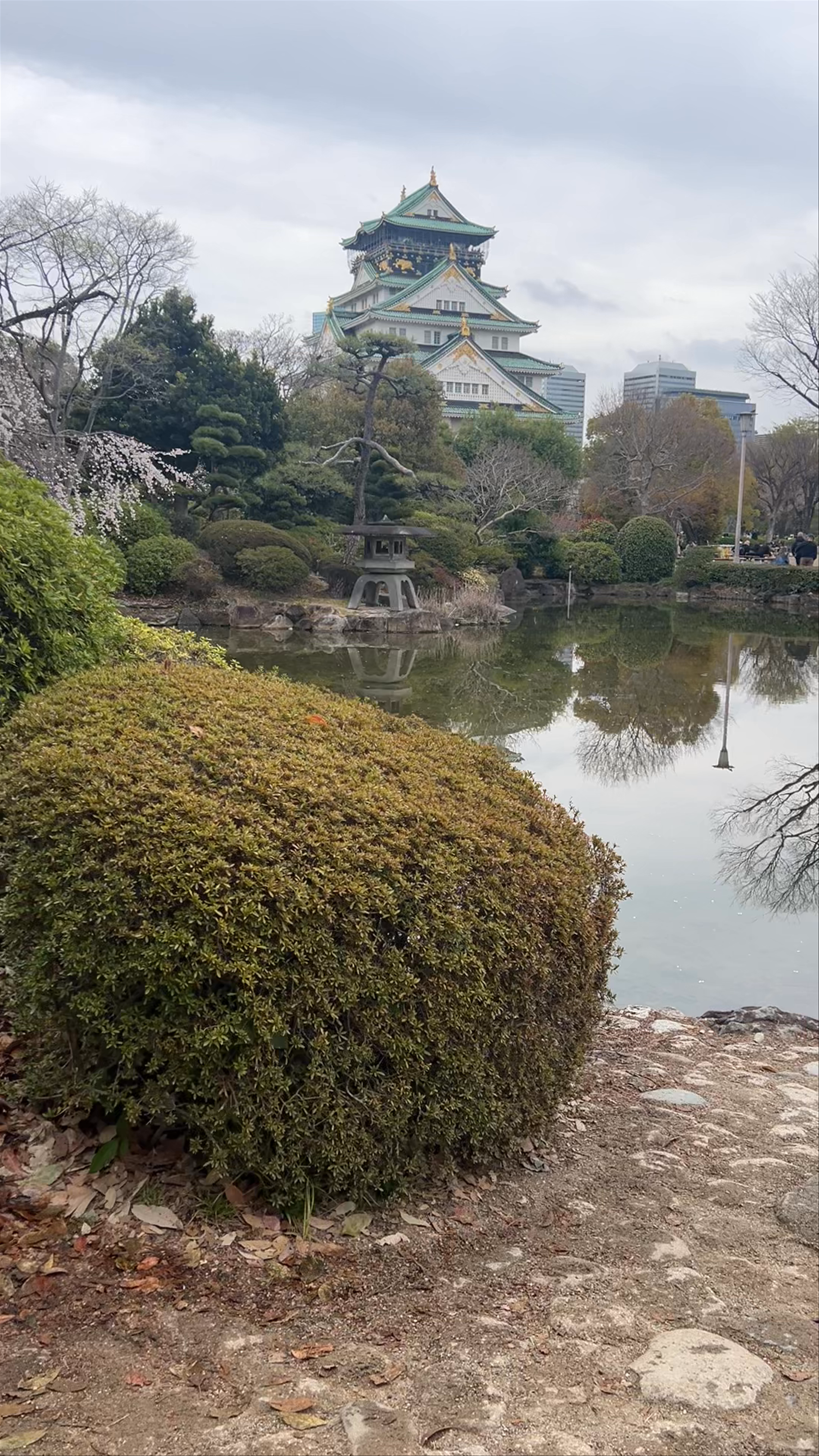 Japanese garden