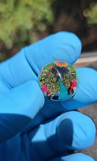 Preview pic of Peacock 🦚 🍄 🌼 Marble