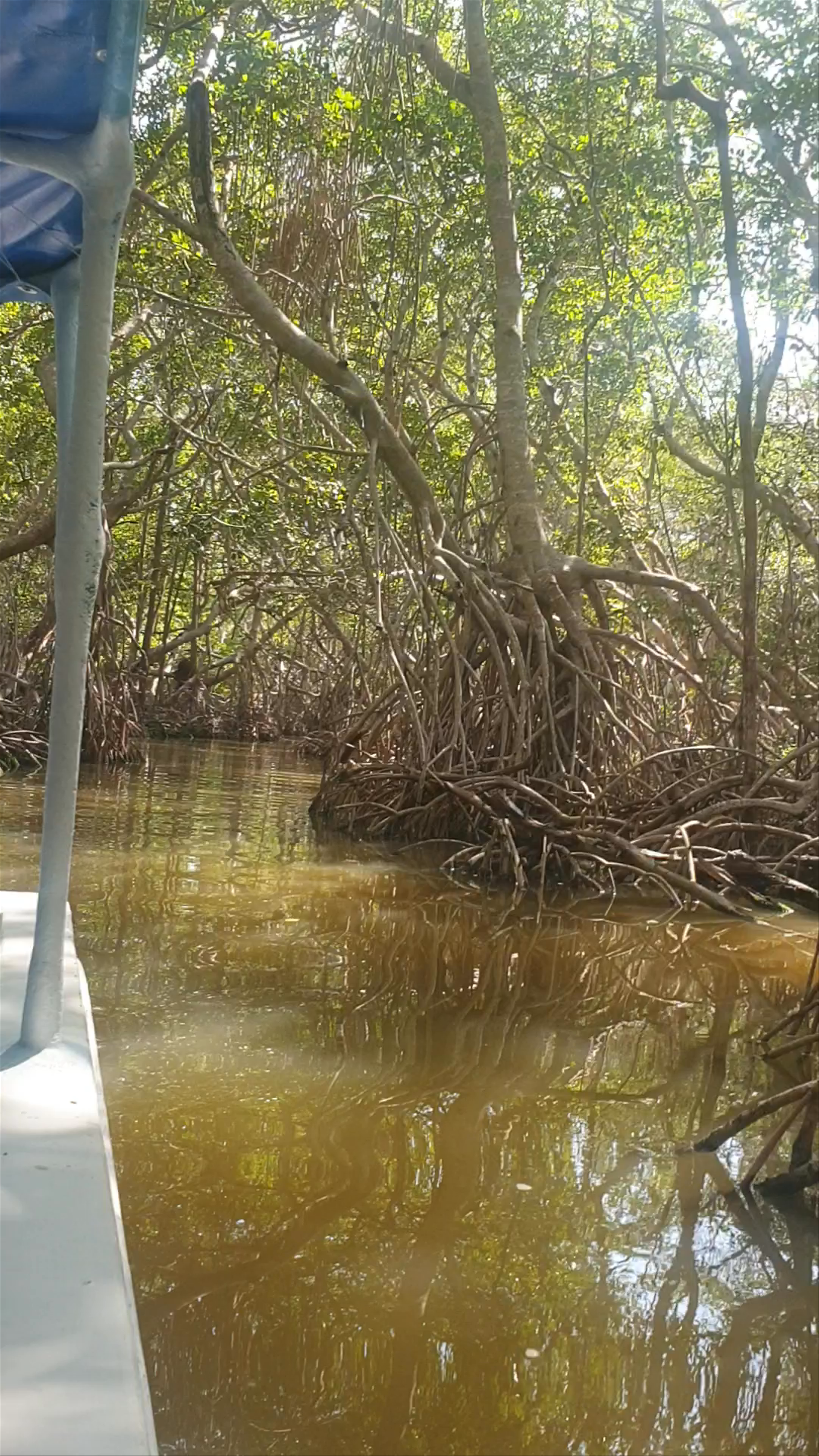 Reserva de la Biosfera Ría Celestún
