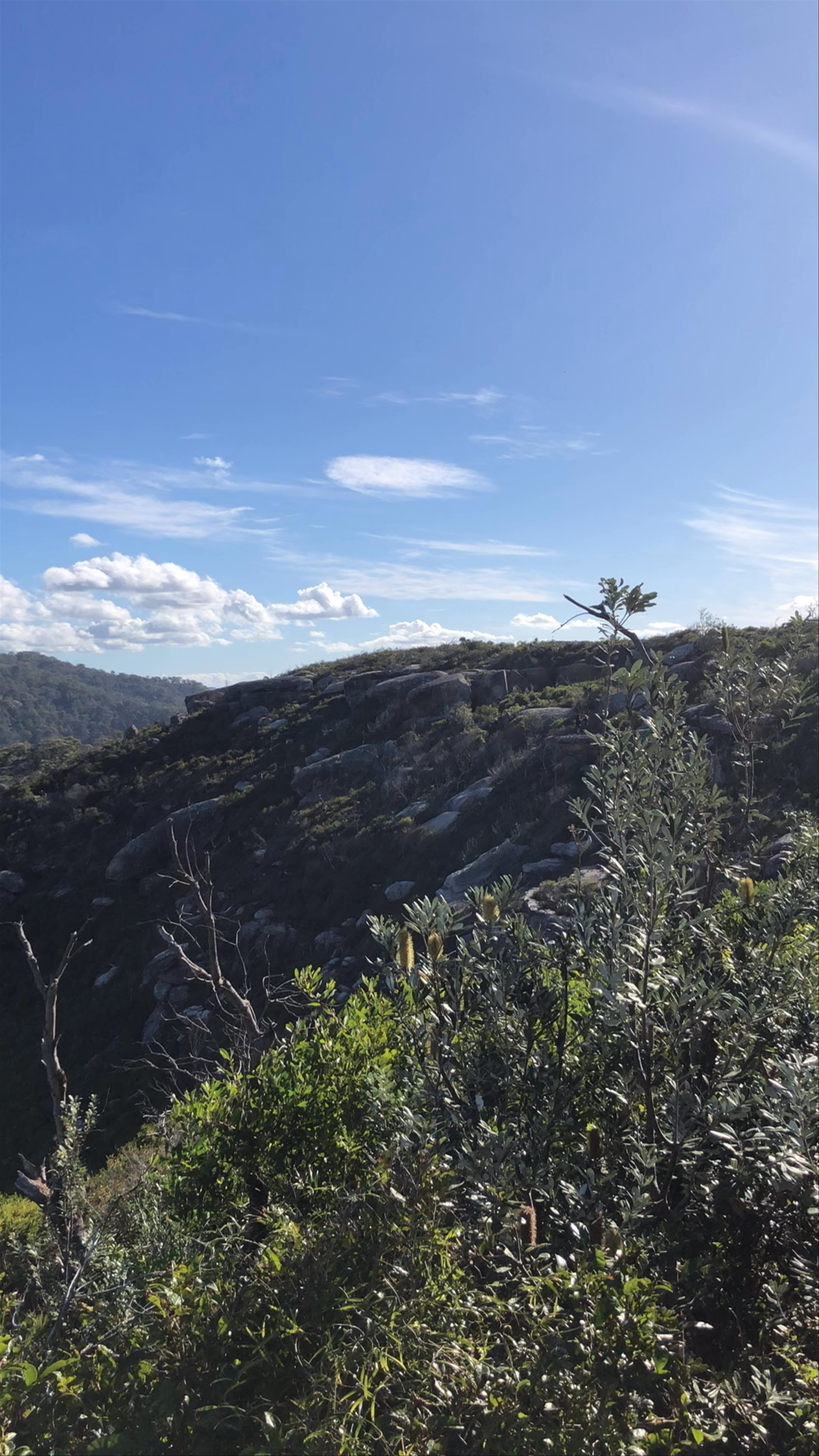 Barrenjoey Head Hike: Scenic Coastal Views at Palm Beach, NSW