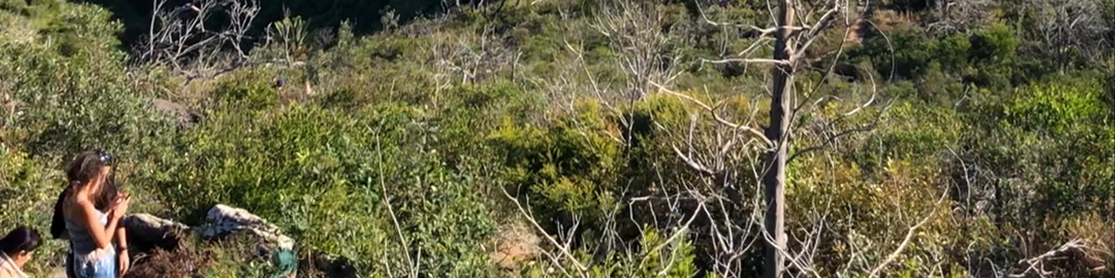 Barrenjoey Head Lookout