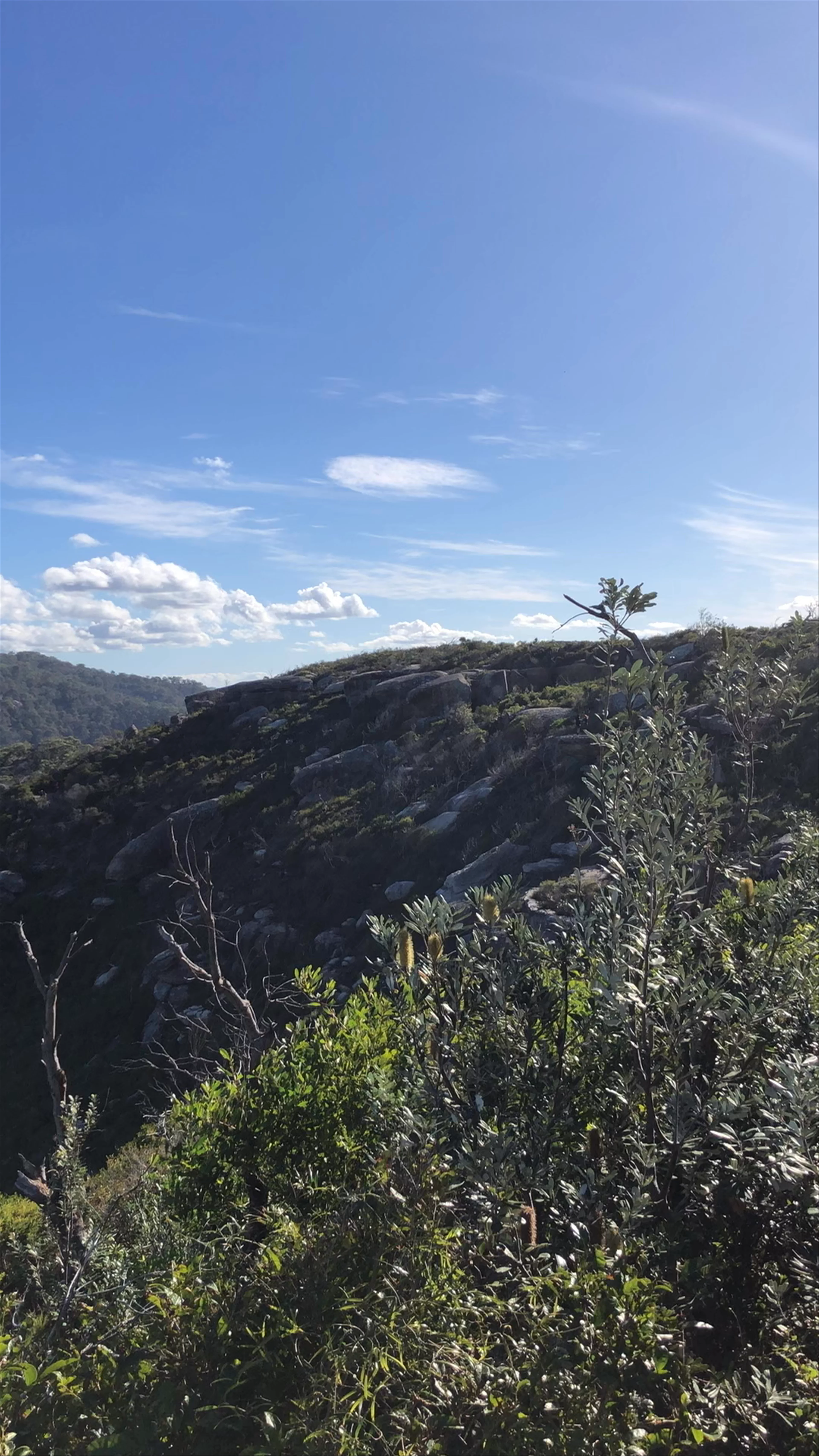 Barrenjoey Head