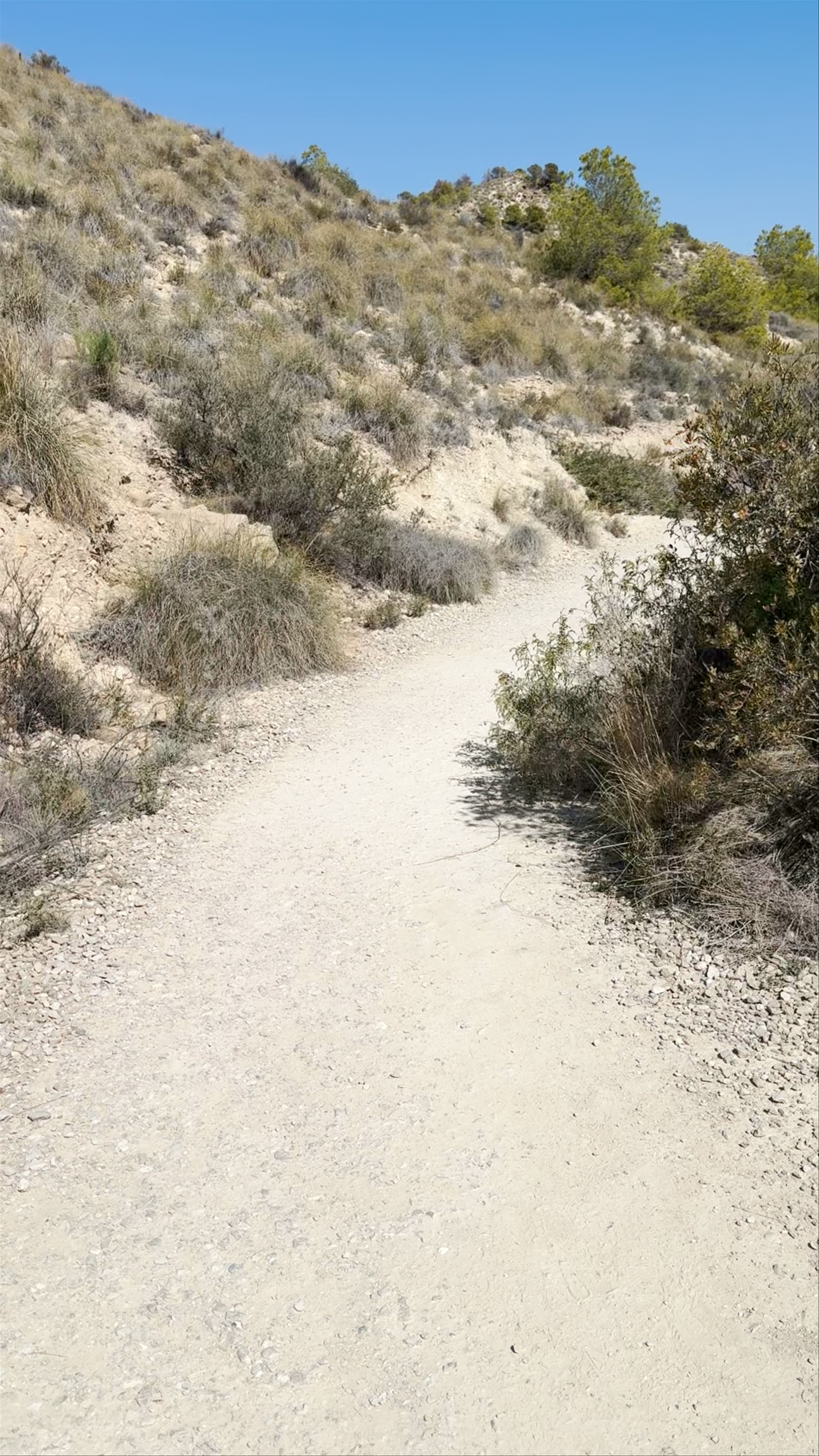Racó del Conill