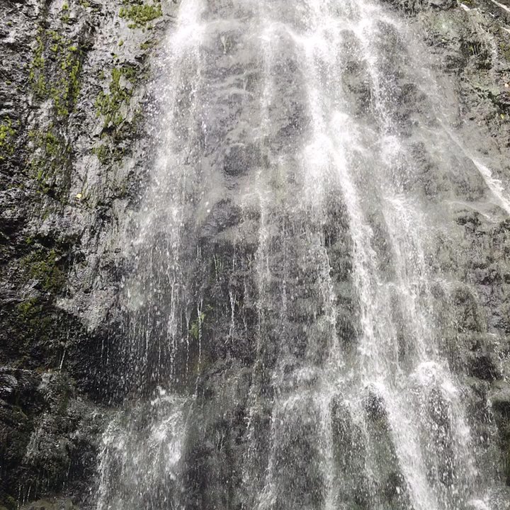 Hamama Falls - Nature- cheaper than therapy - Hiking Near Me - Kaneohe, Hawaii