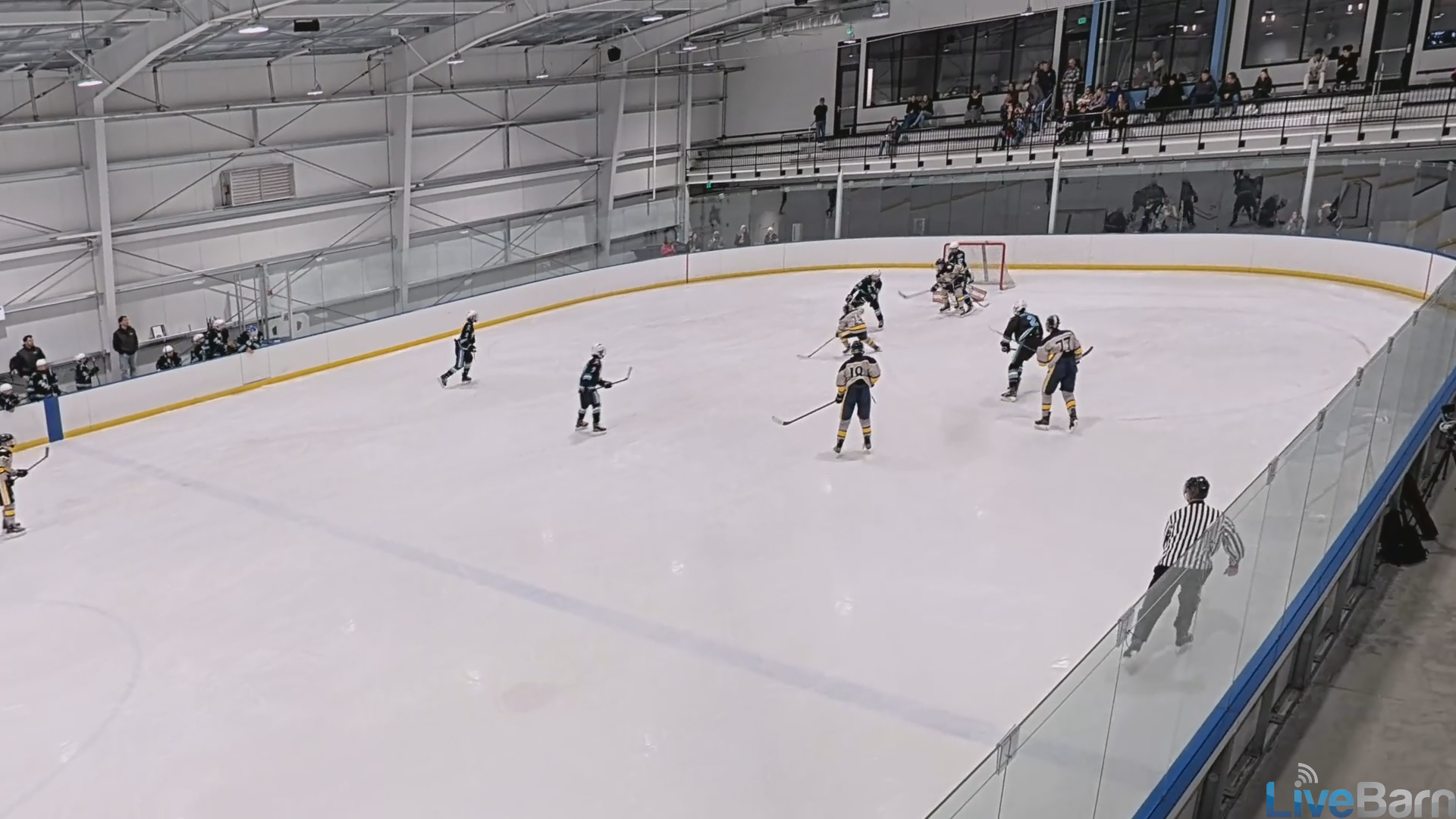 Eli Wizda's Spectacular Goals | Elite Hockey Academy 14U AAA Highlights